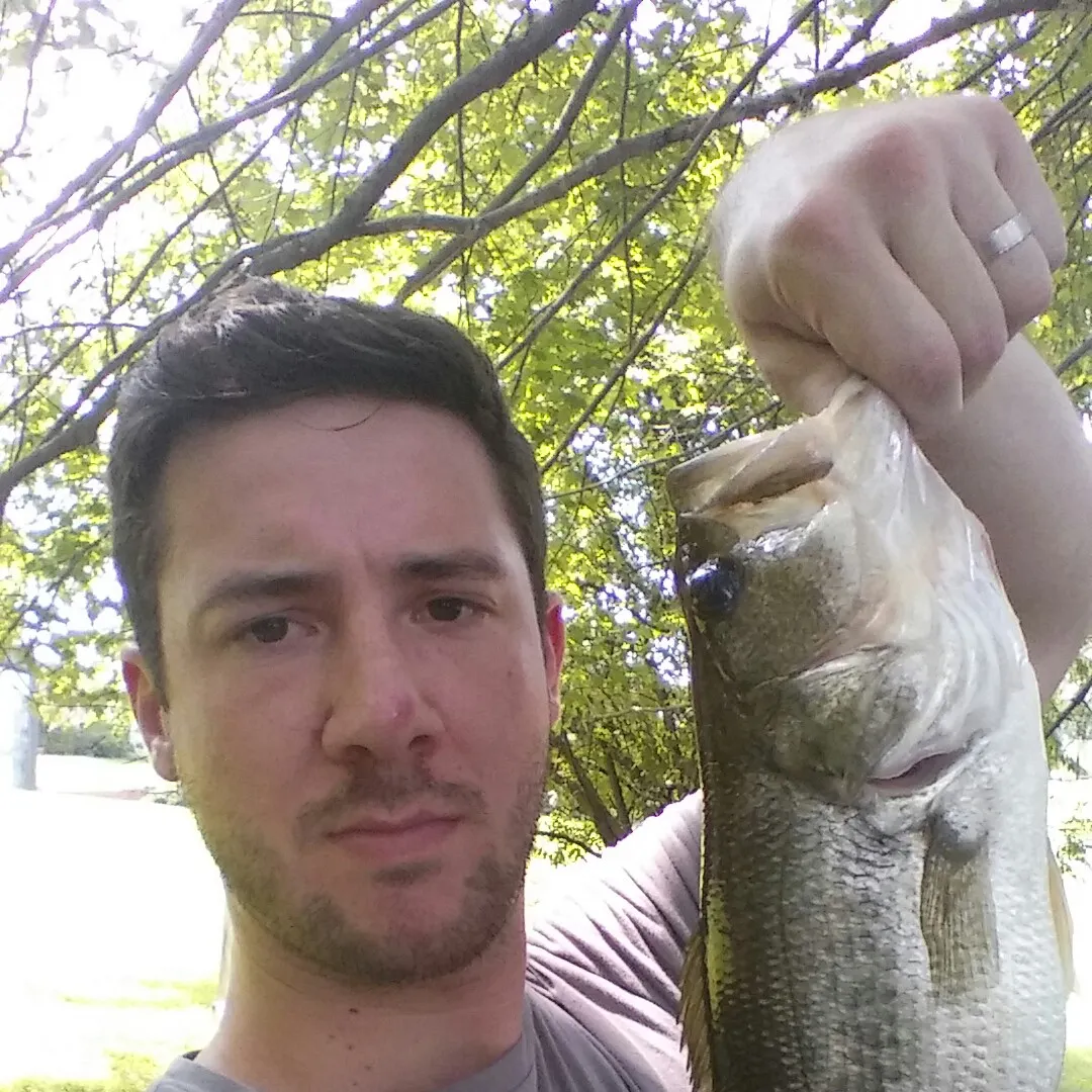 angler catch