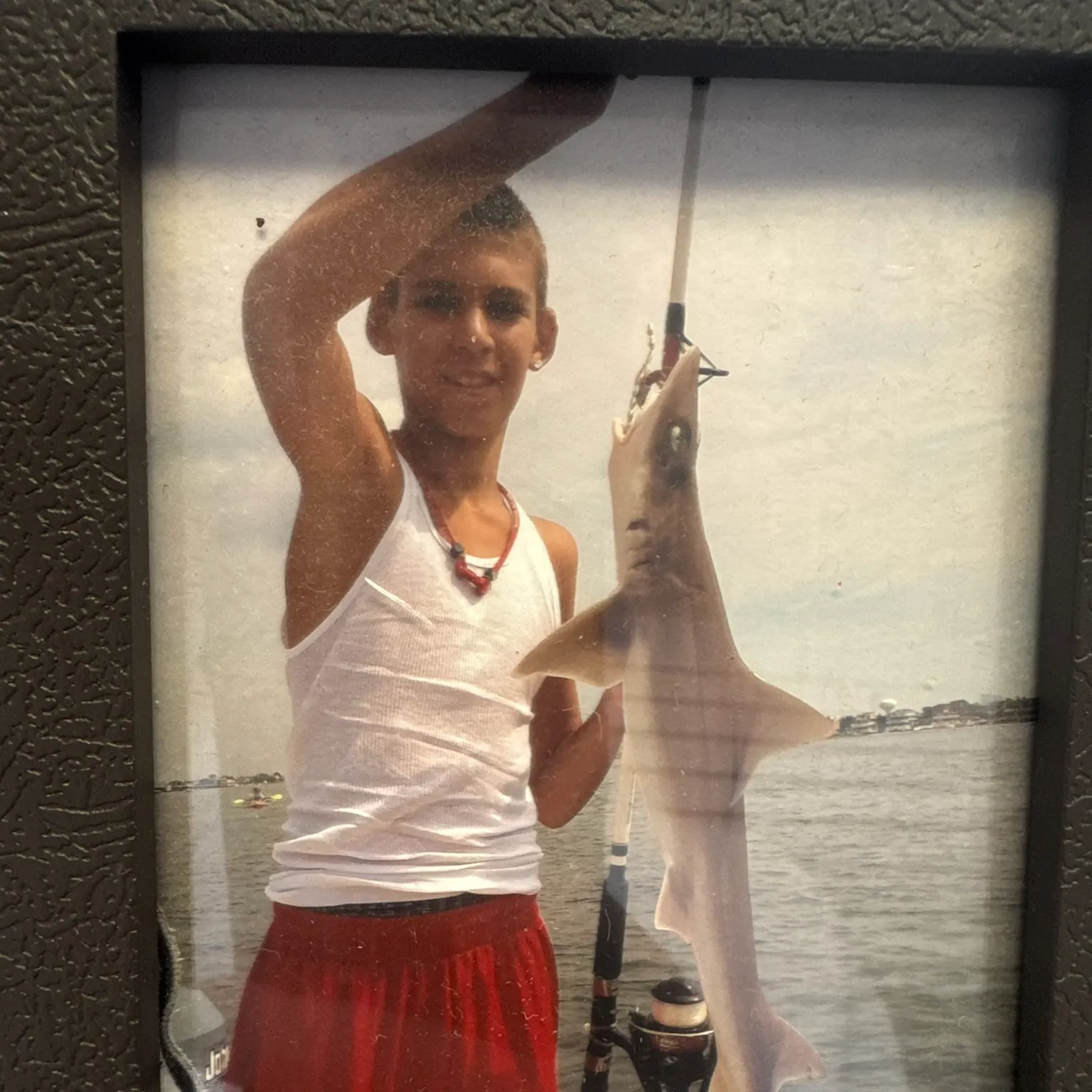 The most recent Dusky smooth-hound catches on Fishbrain