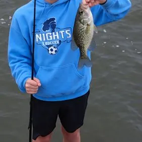 Black crappie caught on Fishbrain