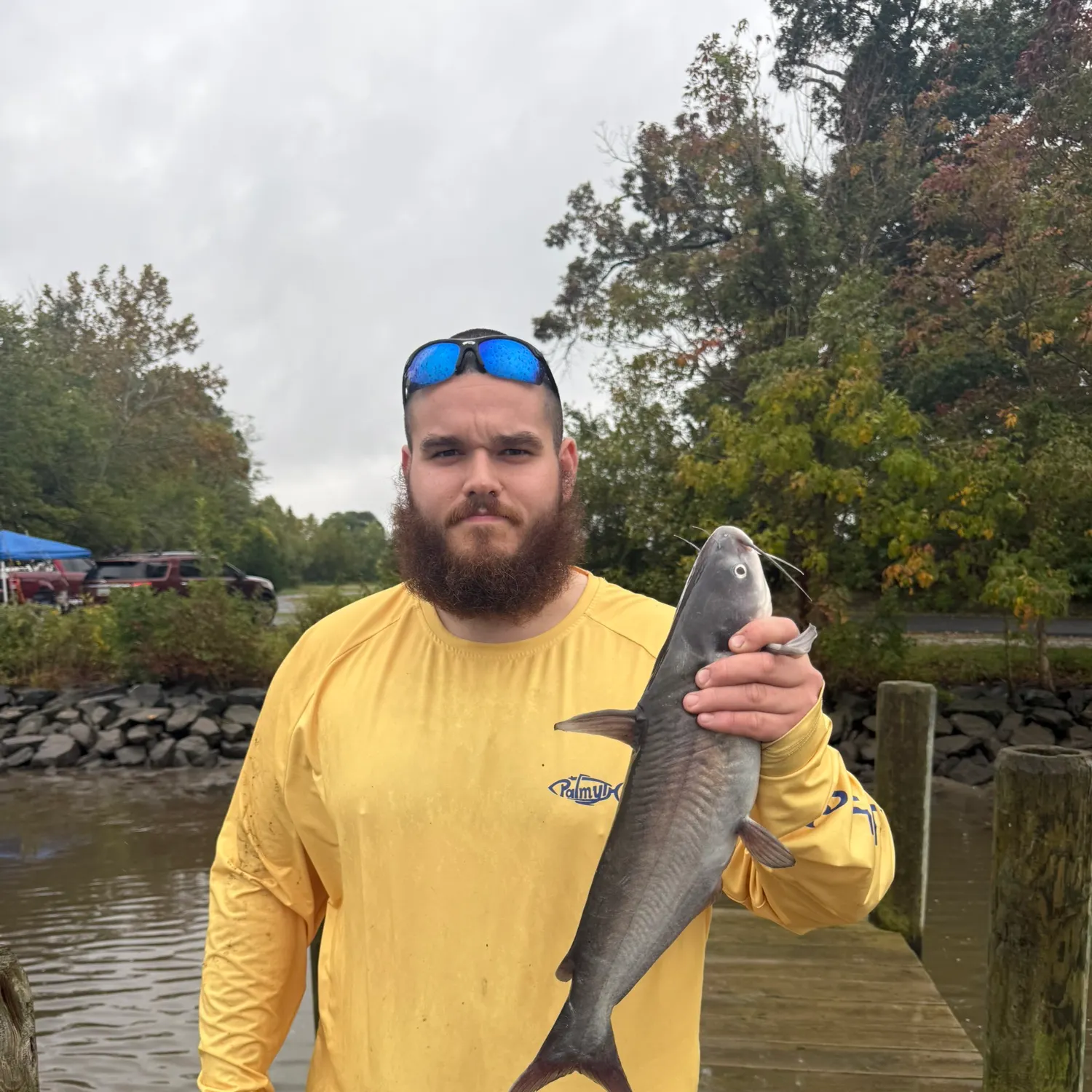 Channel catfish caught on Fishbrain