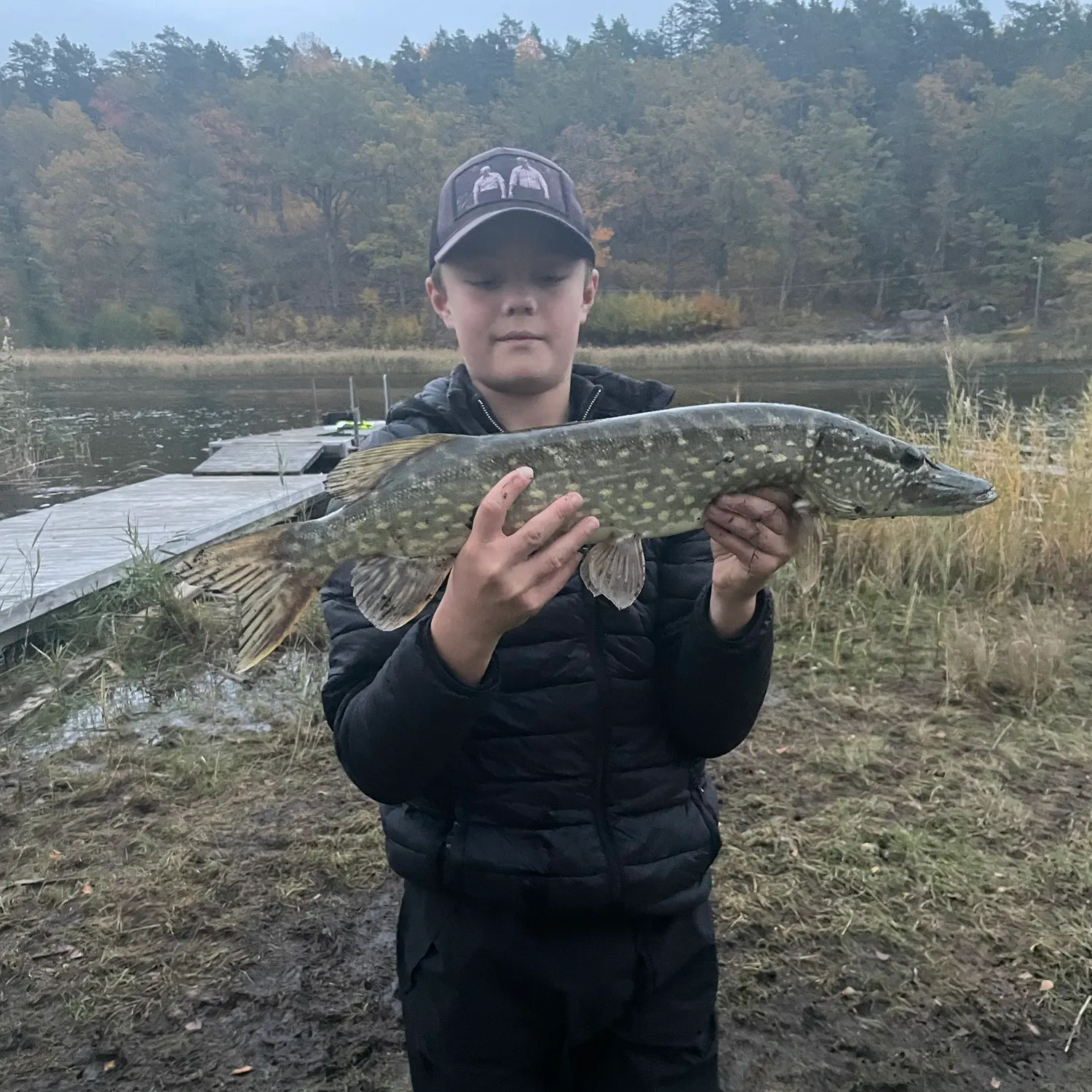 Northern pike caught on Fishbrain