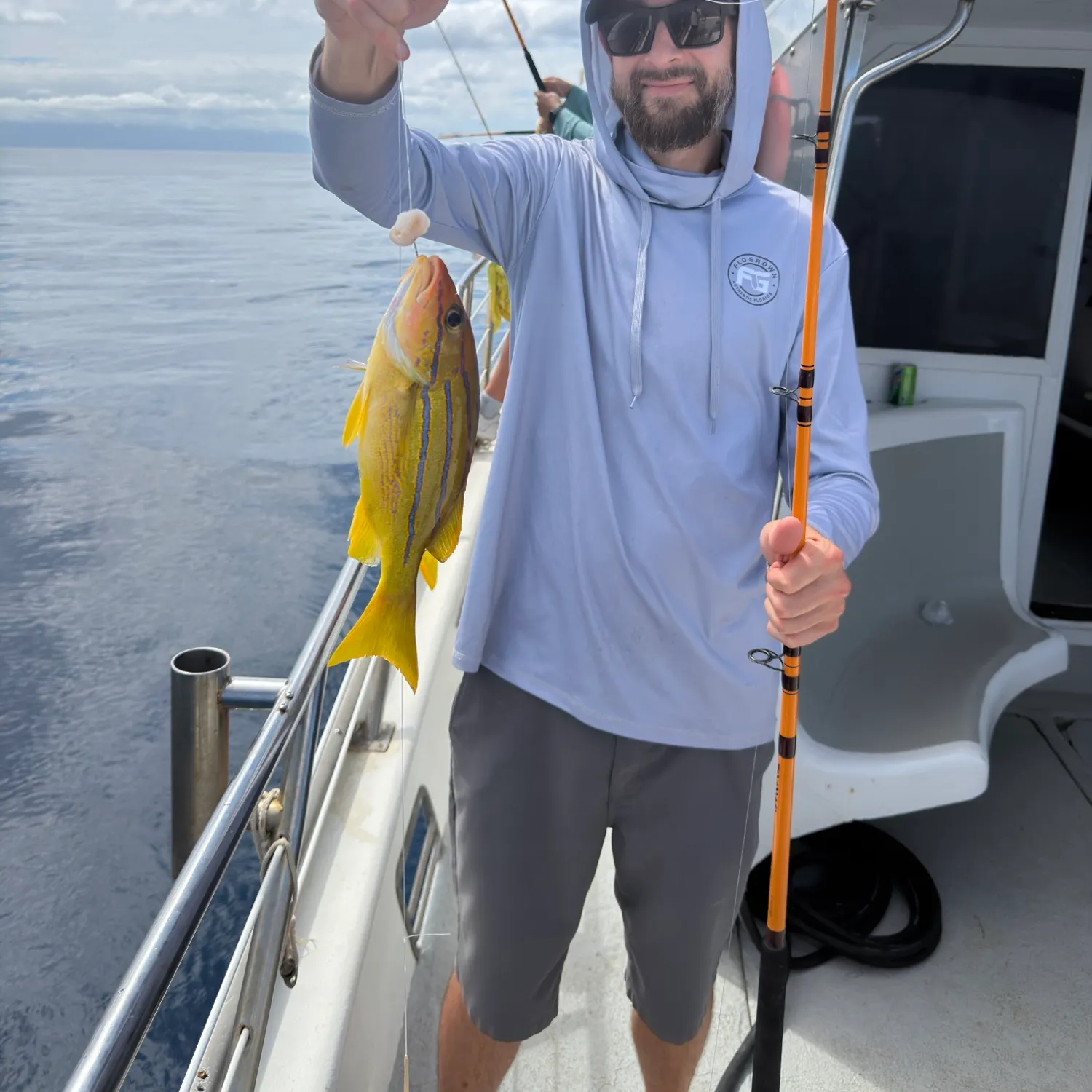 The most recent Common bluestripe snapper catches on Fishbrain