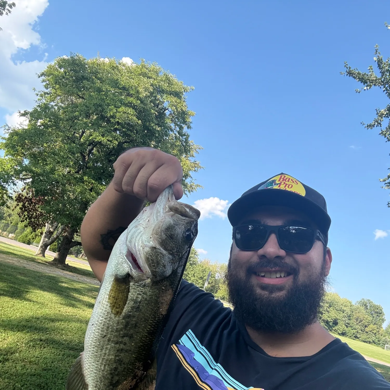 Largemouth bass caught on Fishbrain