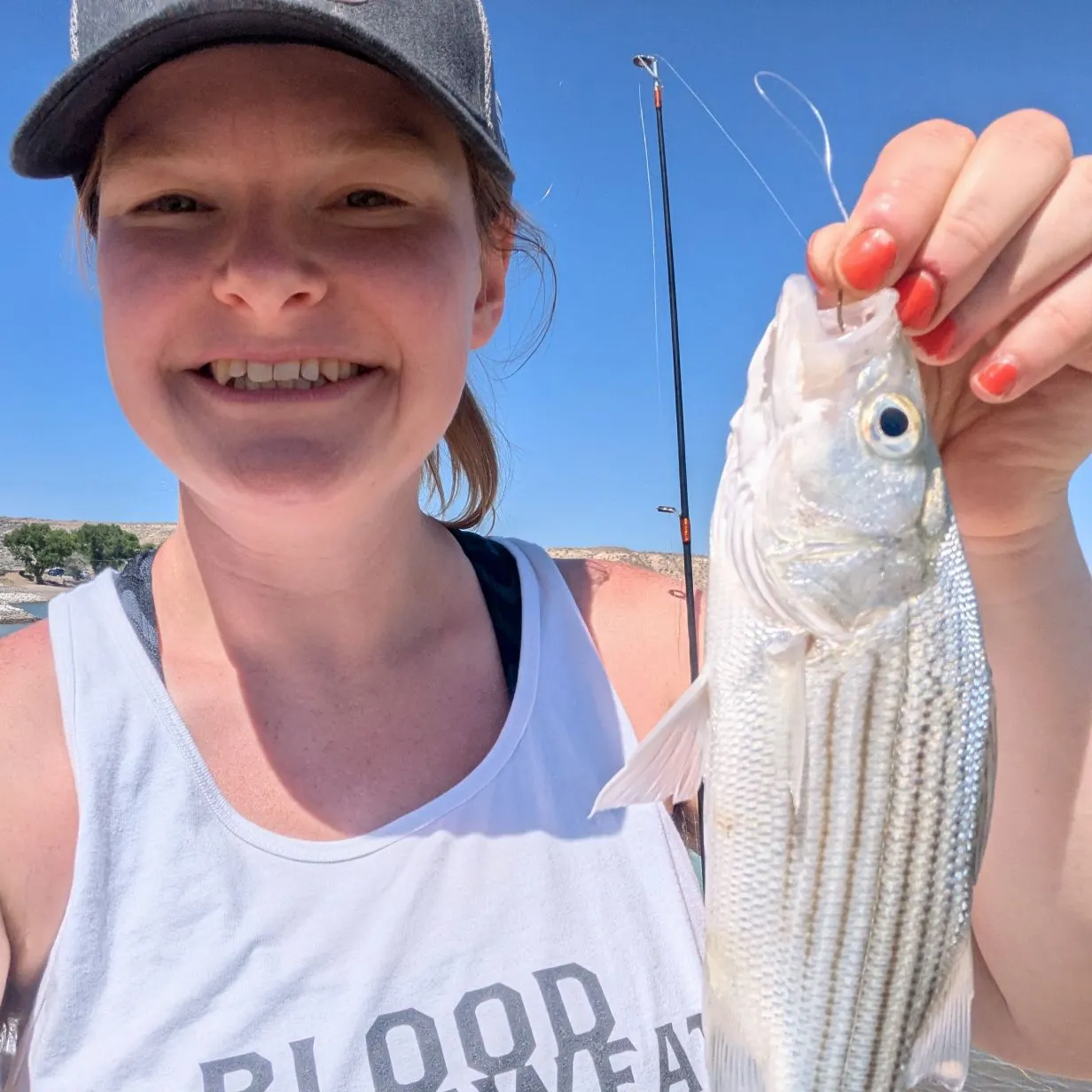 angler catch
