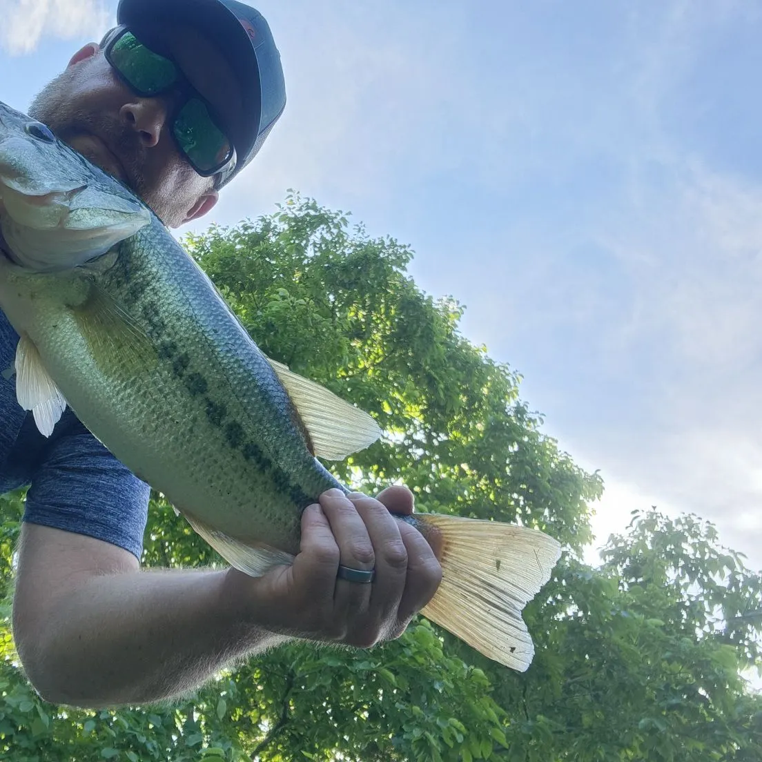 Largemouth bass caught on Fishbrain
