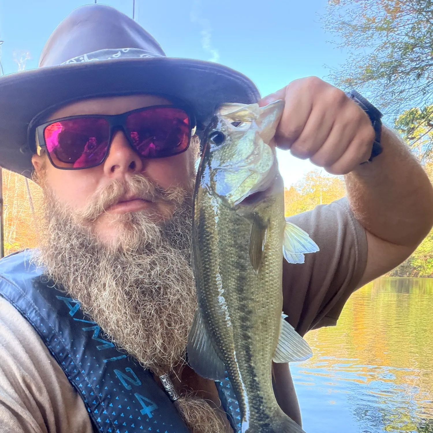 Largemouth bass caught on Fishbrain