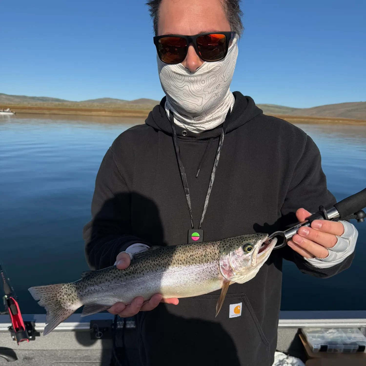 Rainbow trout caught on Fishbrain