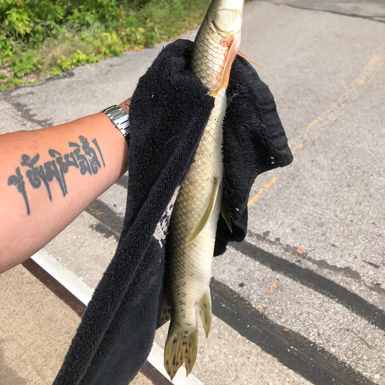 catch