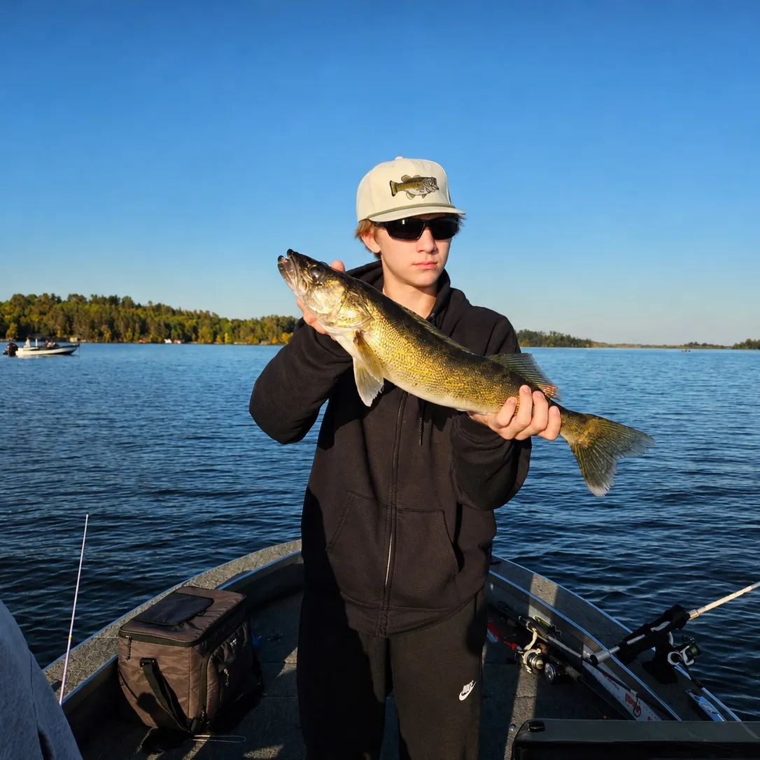 Walleye caught on Fishbrain