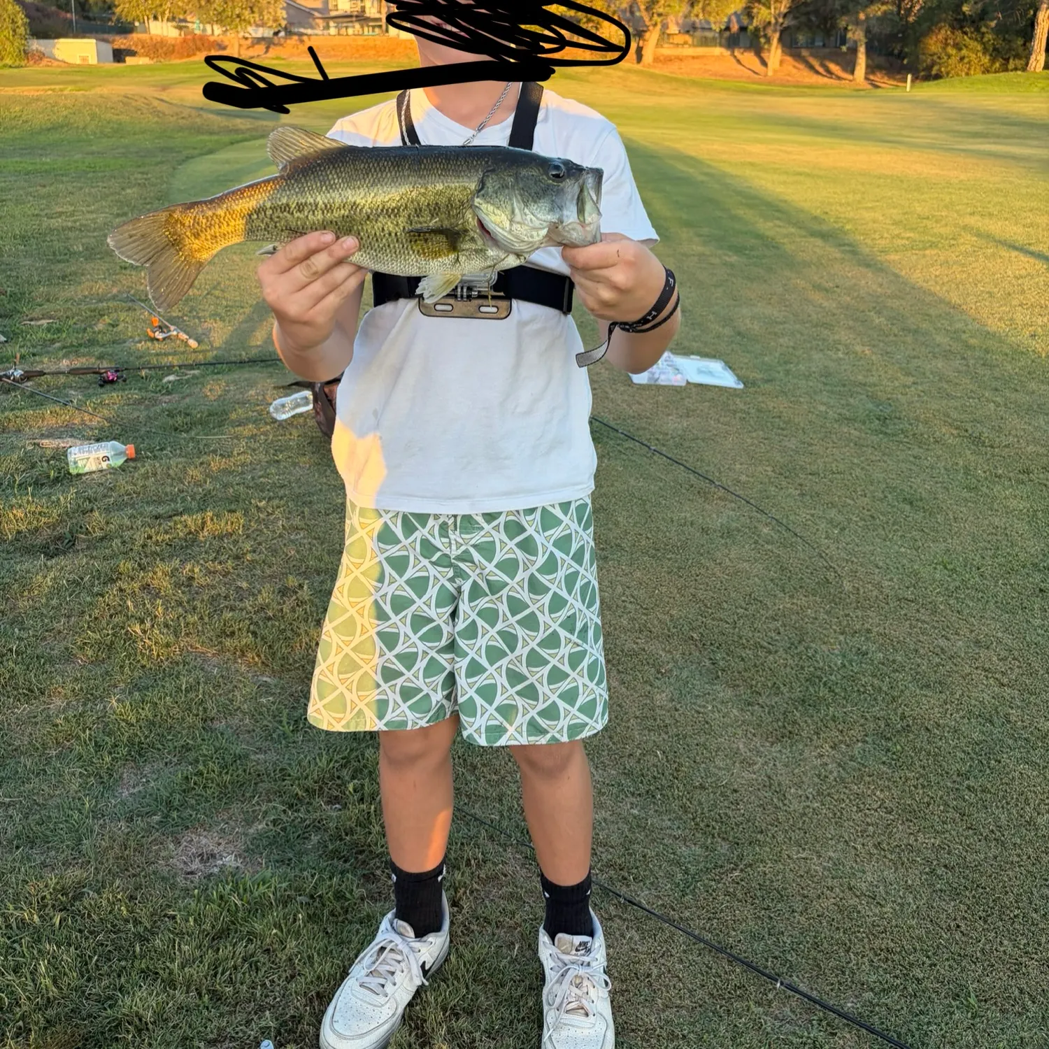 Largemouth bass caught on Fishbrain