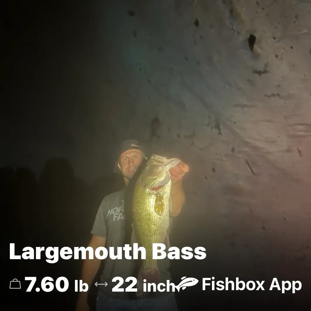 Largemouth bass caught on Fishbrain