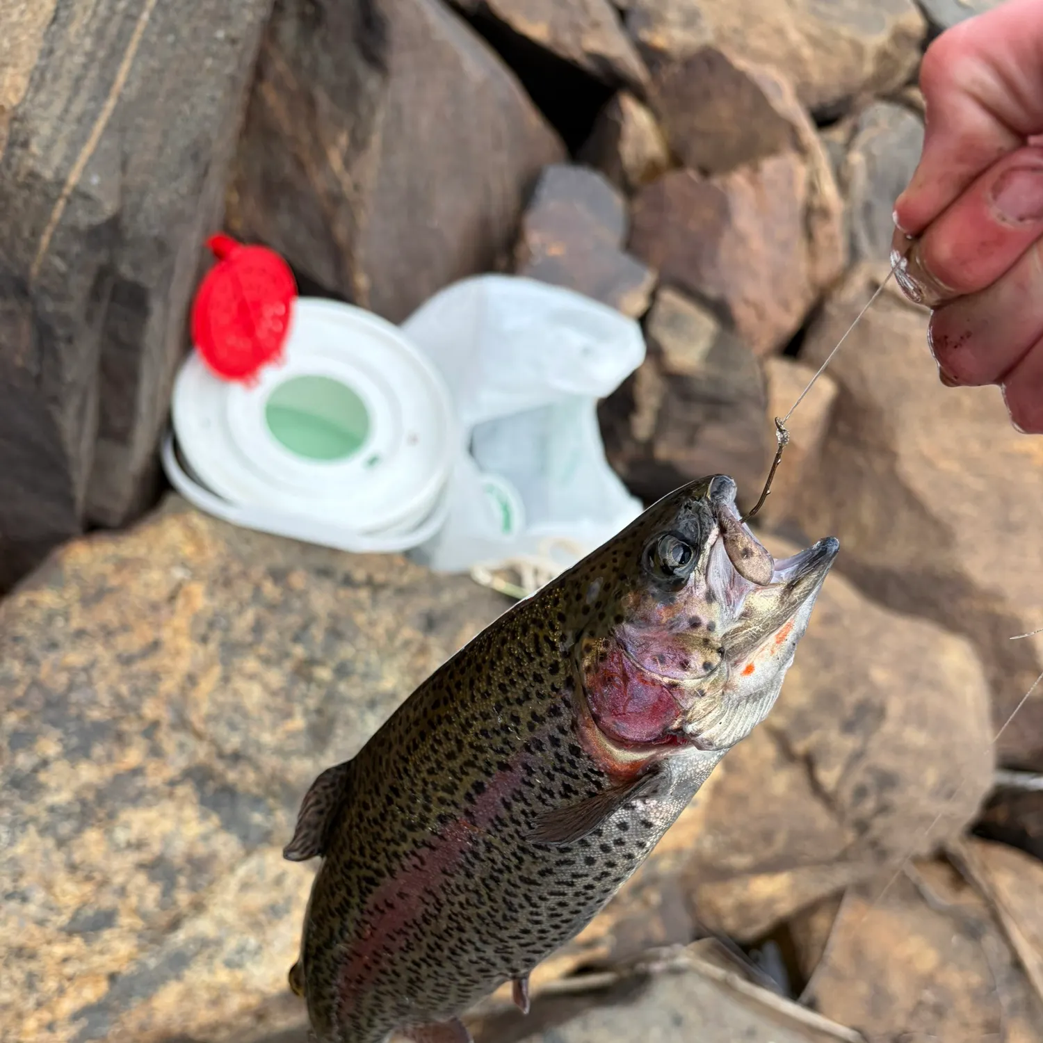 catch
