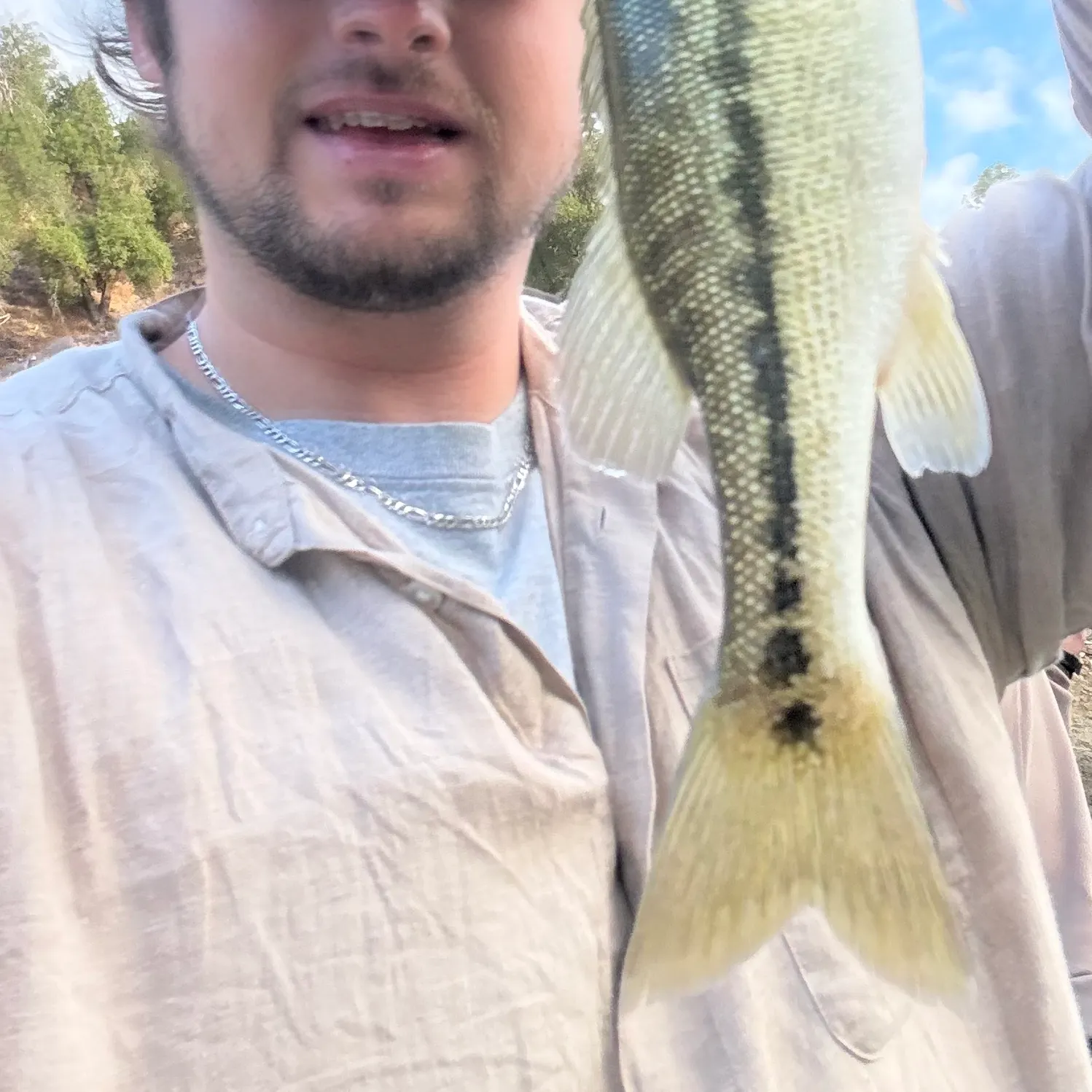 Spotted bass caught on Fishbrain