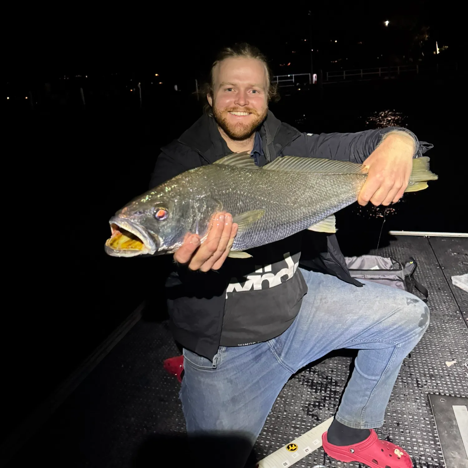 The most recent Japanese meagre catches on Fishbrain