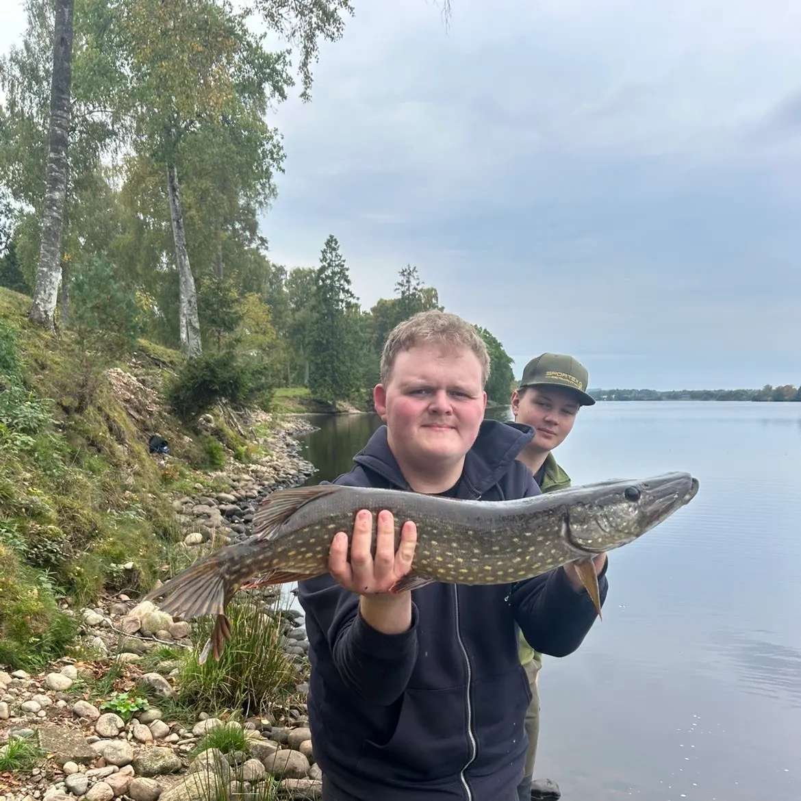 Northern pike caught on Fishbrain