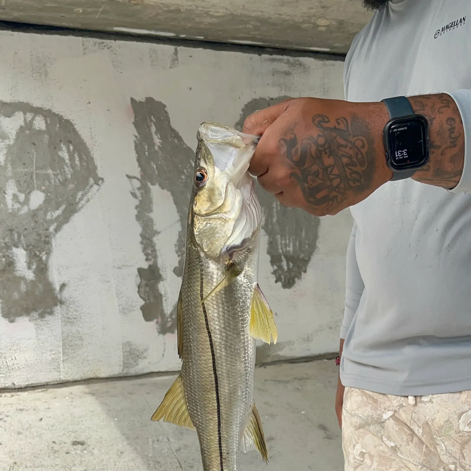recently logged catches