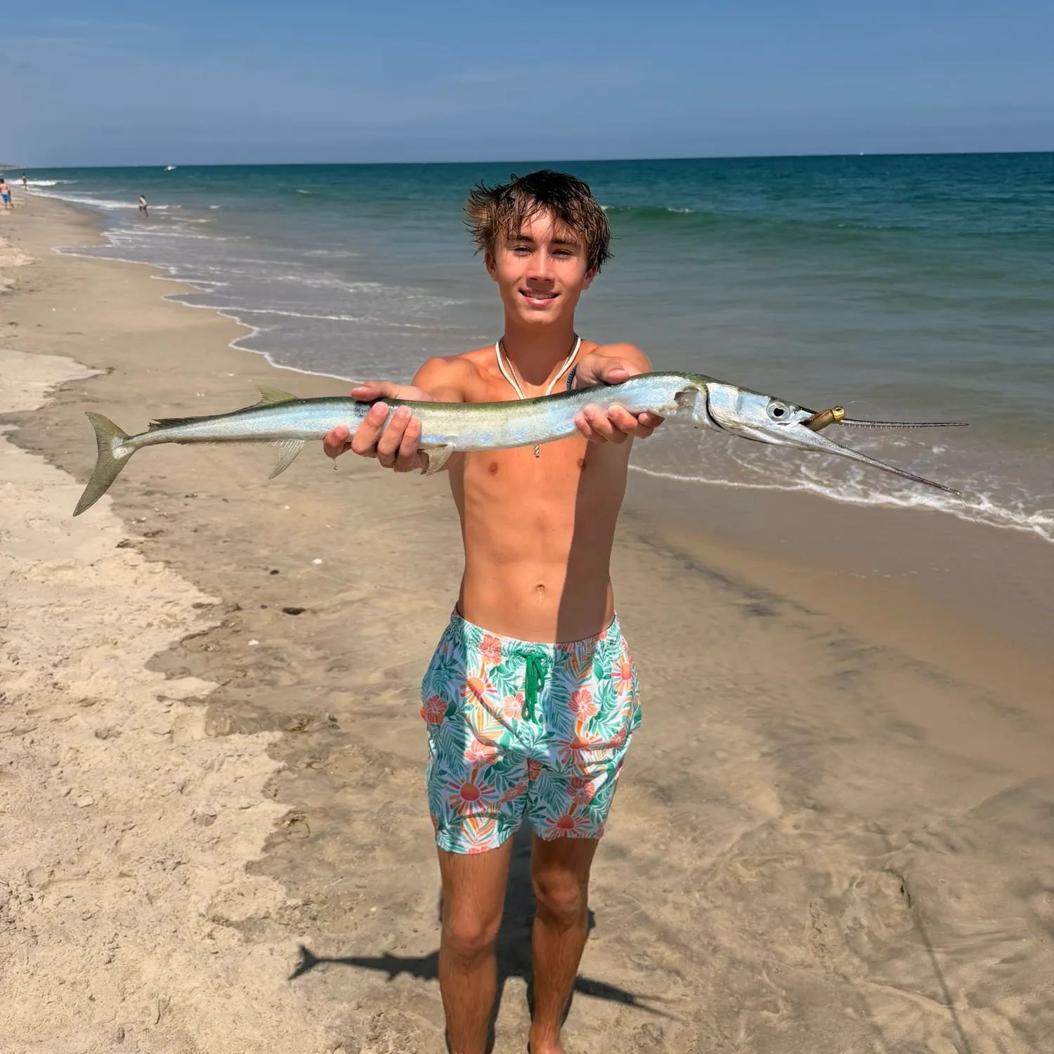 Flat needlefish caught on Fishbrain