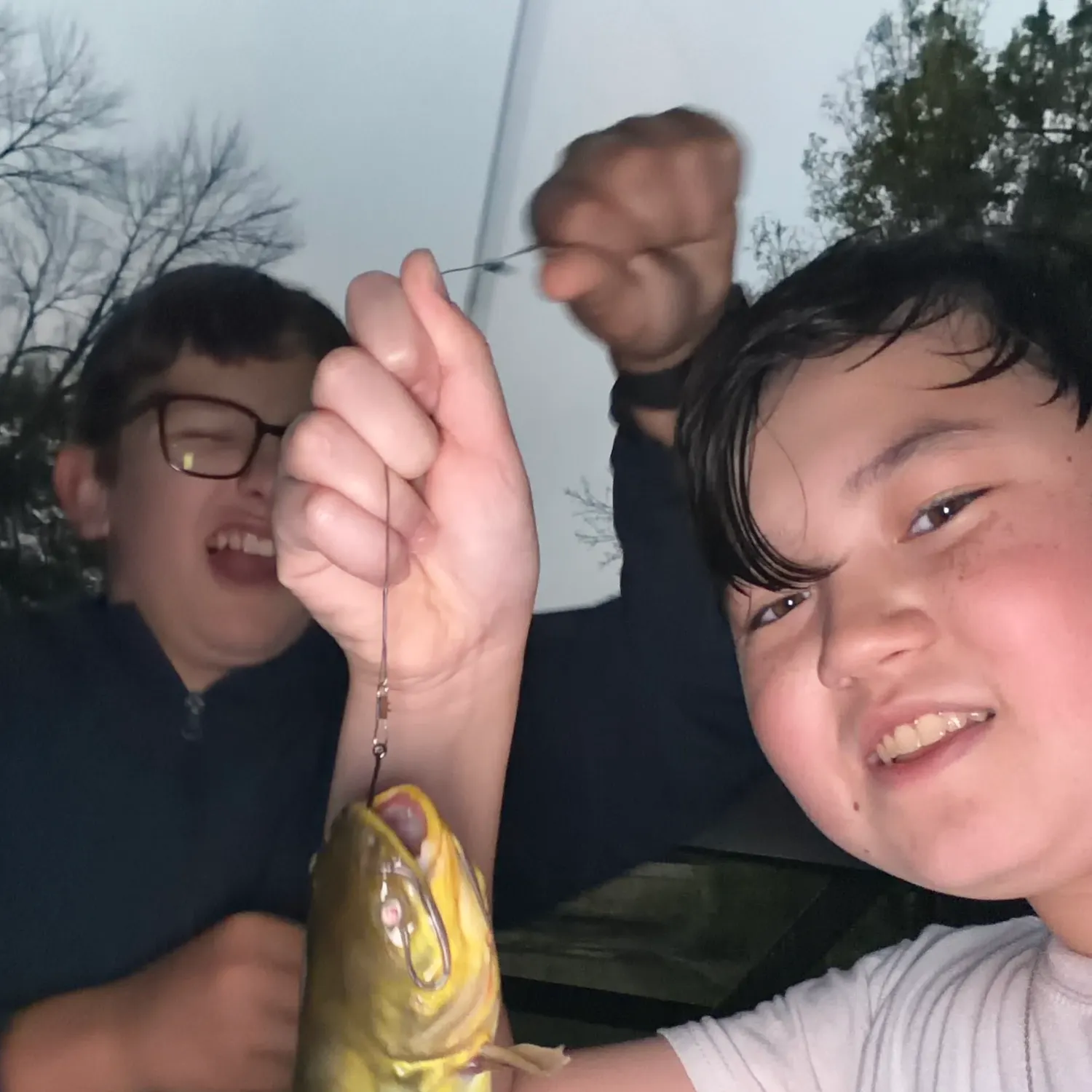 Yellow bullhead caught on Fishbrain