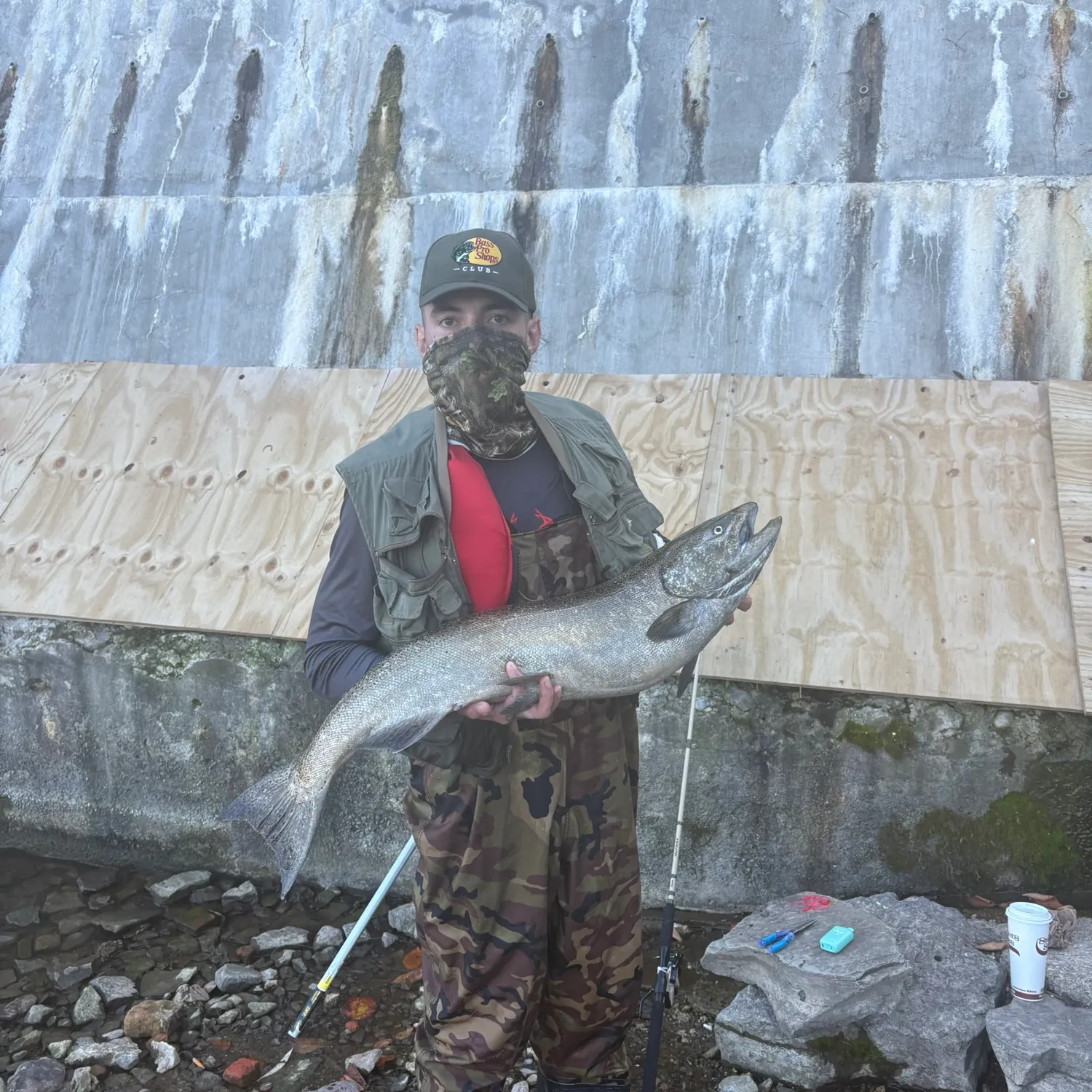Chinook salmon caught on Fishbrain