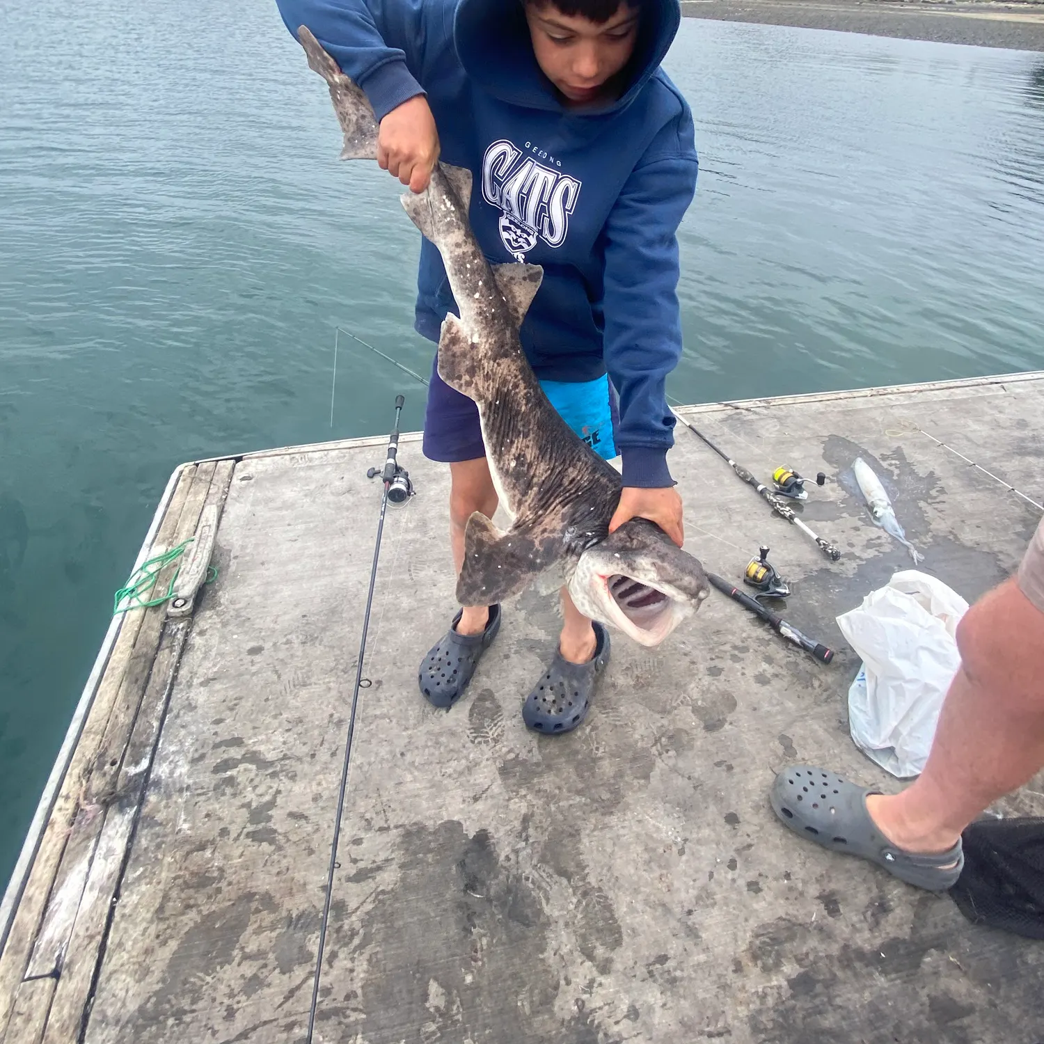 The most recent Swellshark catches on Fishbrain