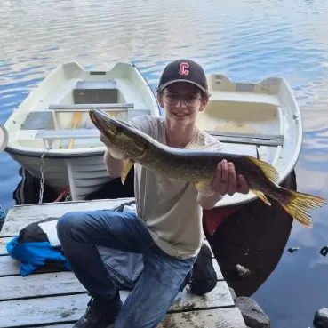 Northern pike caught on Fishbrain