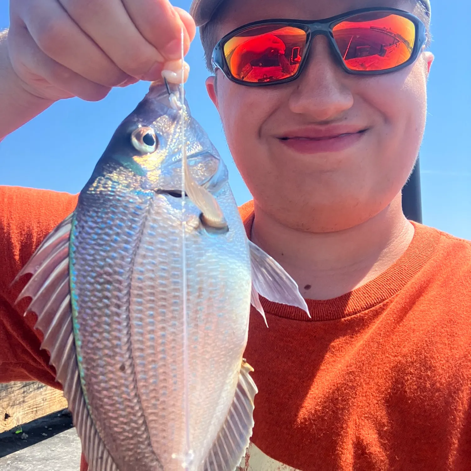 Scup caught on Fishbrain