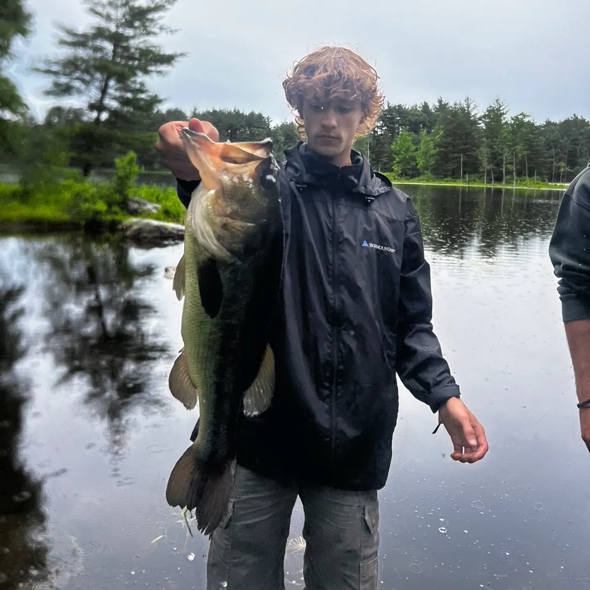 The most recent Largemouth bass catches on Fishbrain