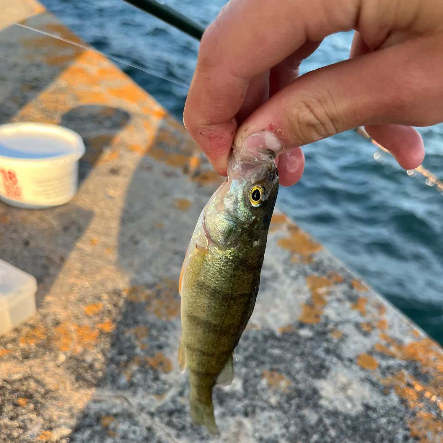 catch