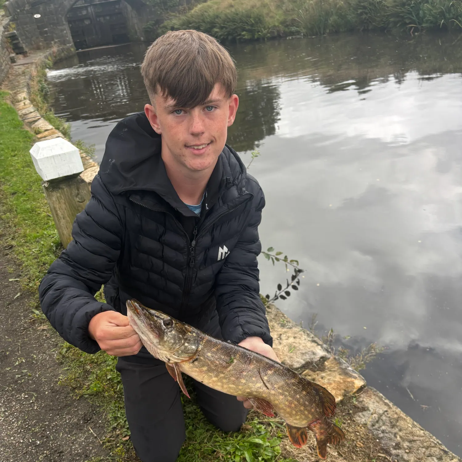 Northern pike caught on Fishbrain