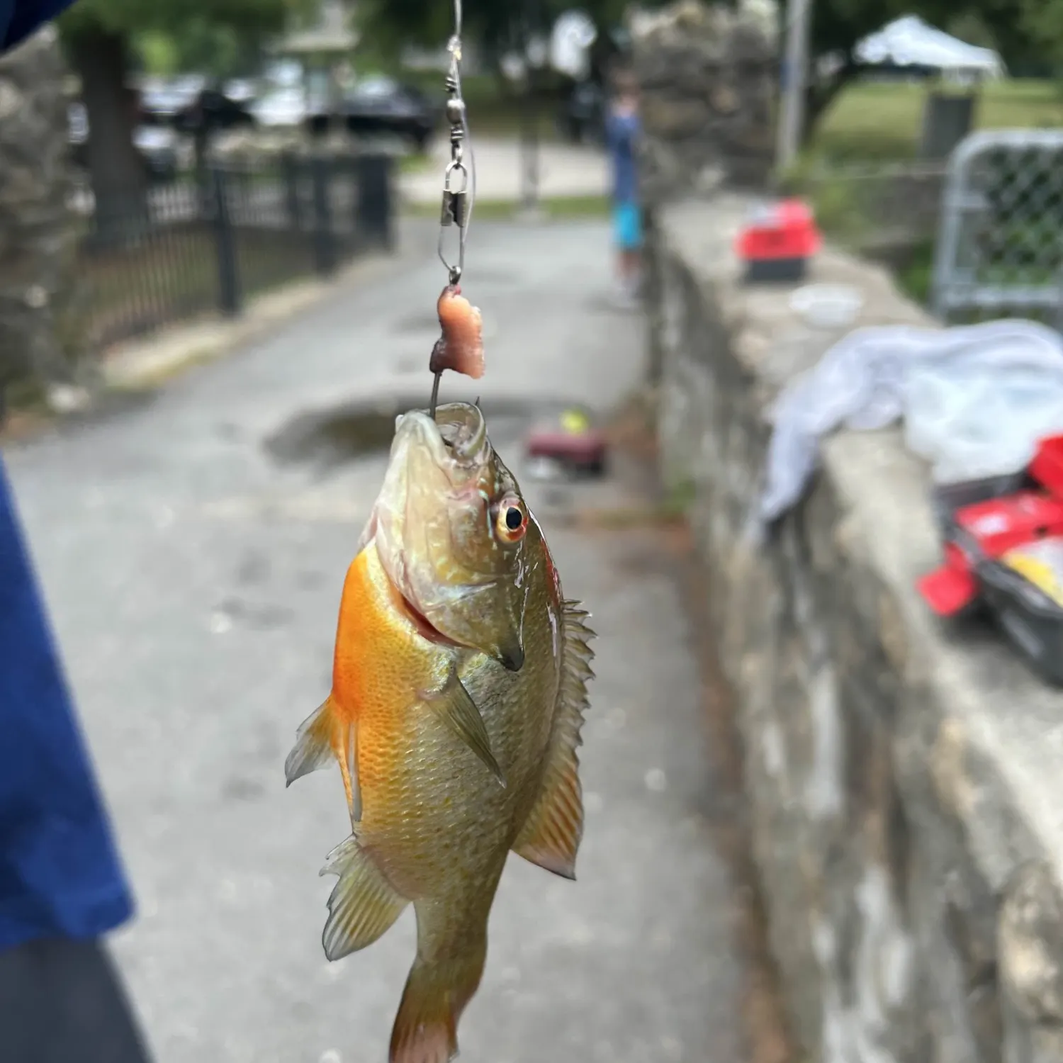 catch