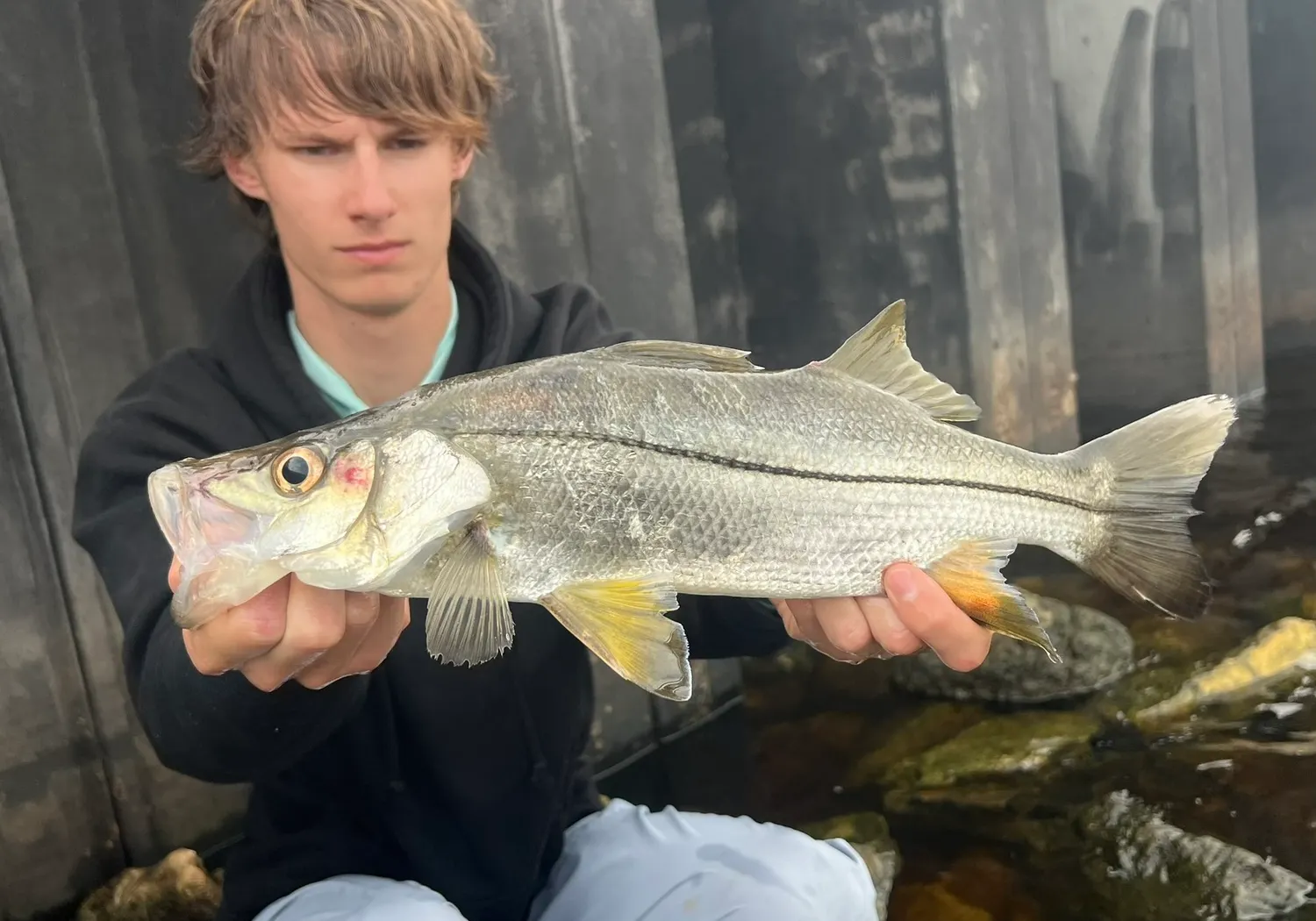 Tarpon Snook