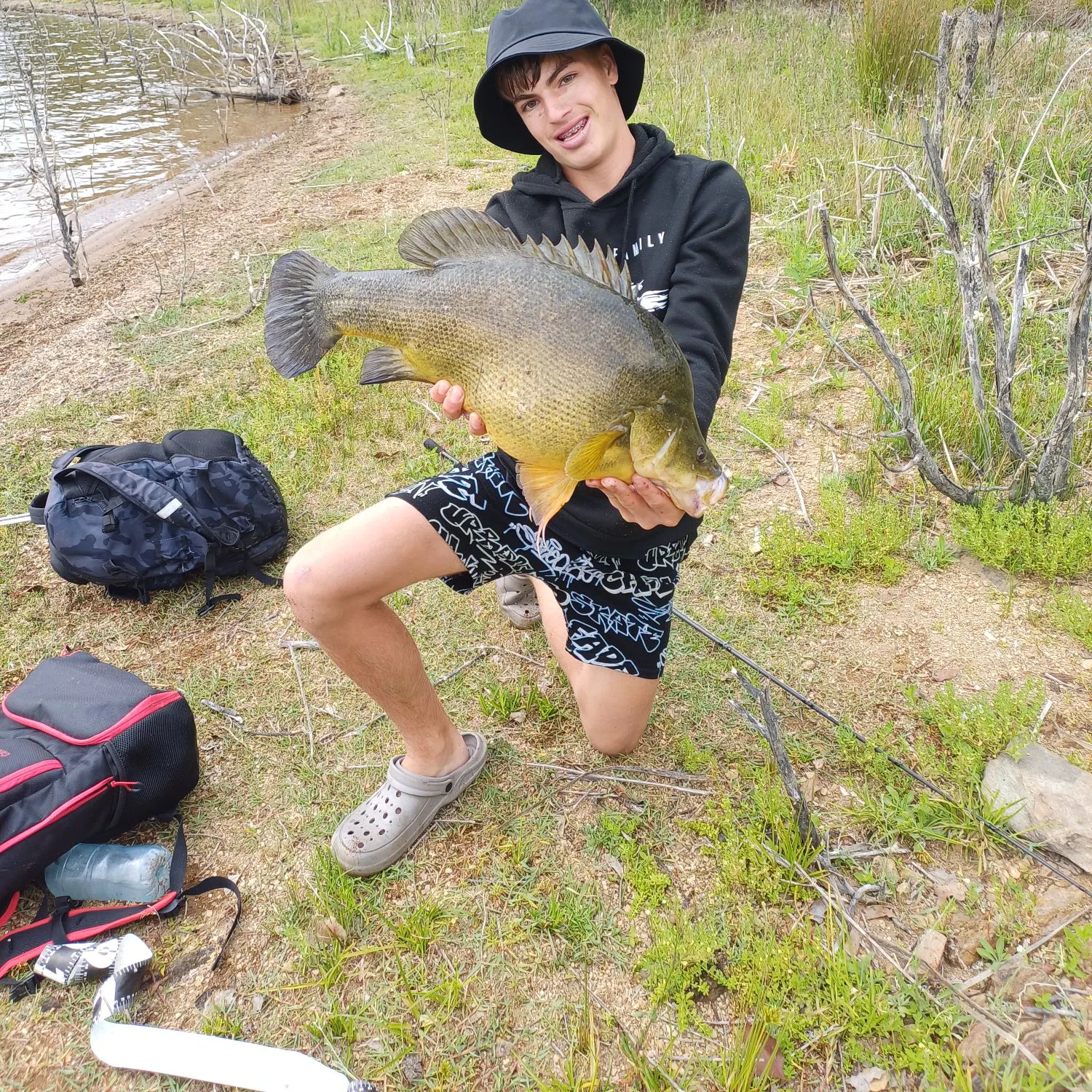 The most recent Golden perch catches on Fishbrain