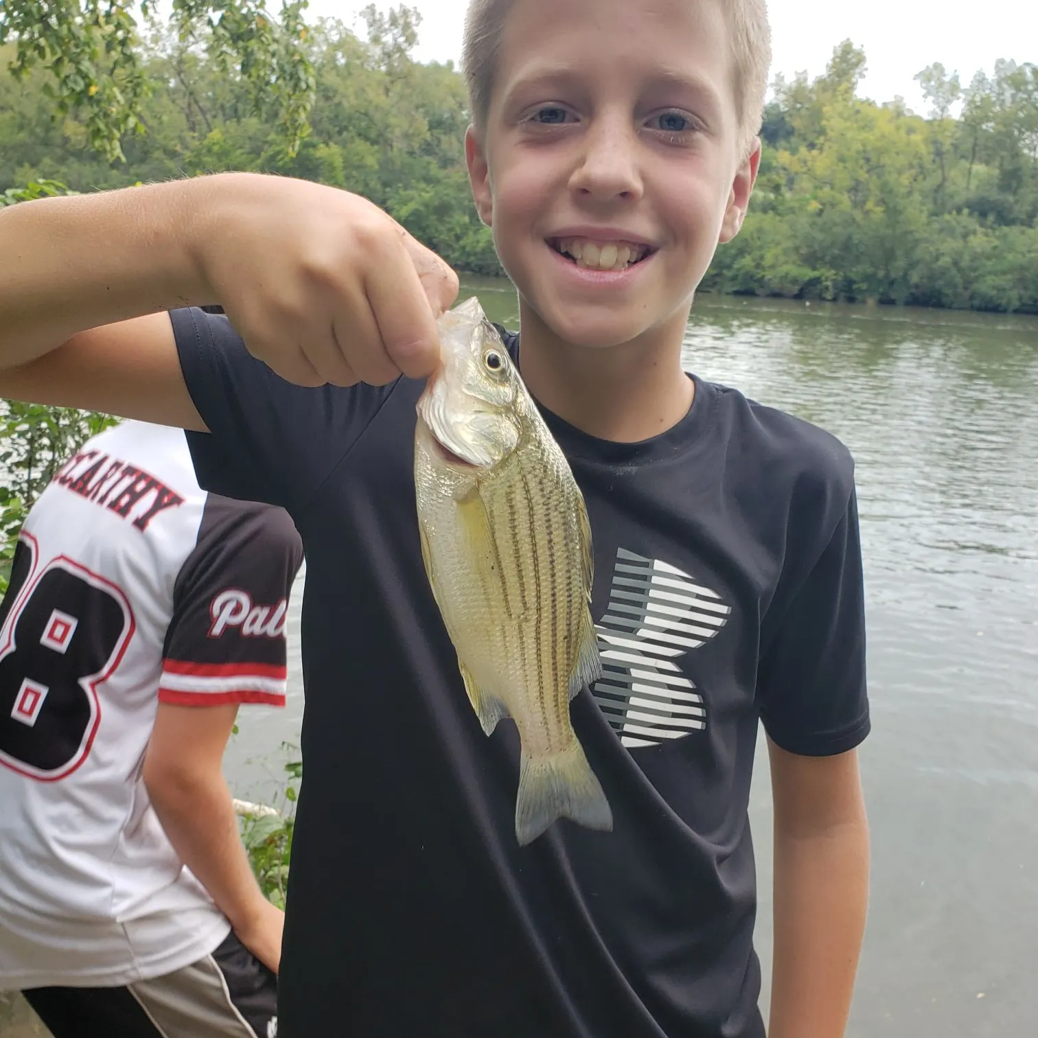 Yellow bass caught on Fishbrain