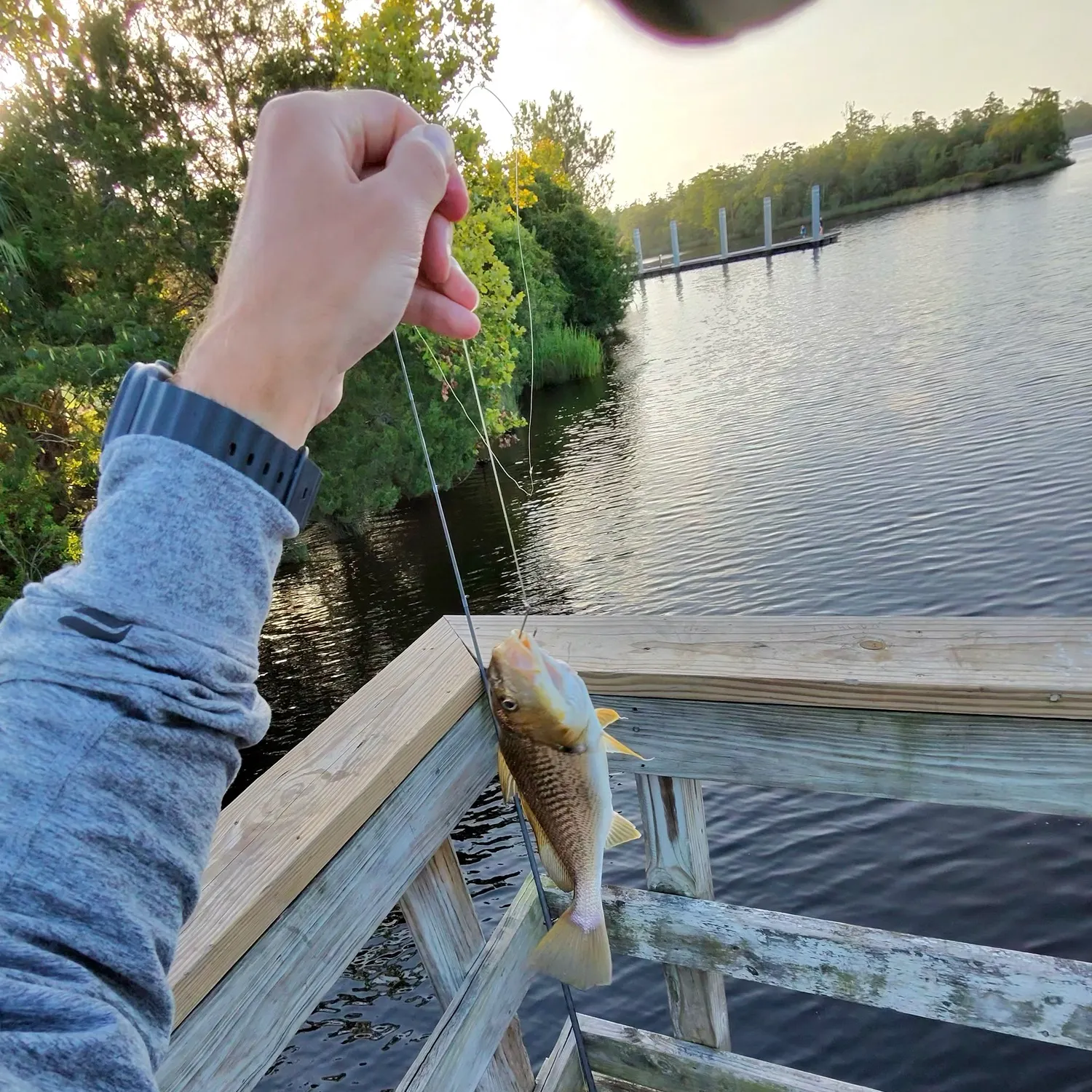 catch