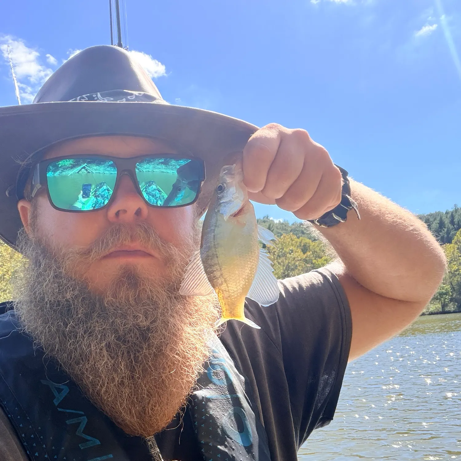 White crappie caught on Fishbrain