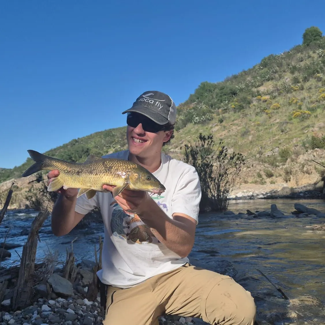 The most recent Andalusian barbel catches on Fishbrain