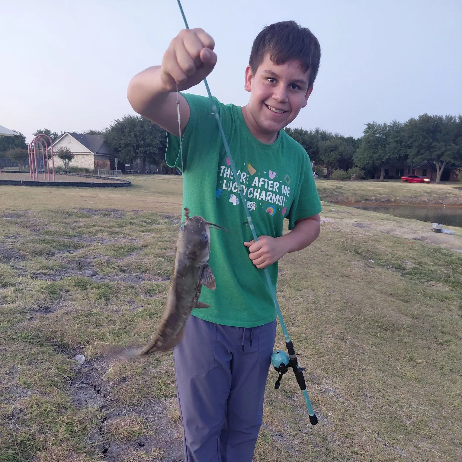 Channel catfish caught on Fishbrain