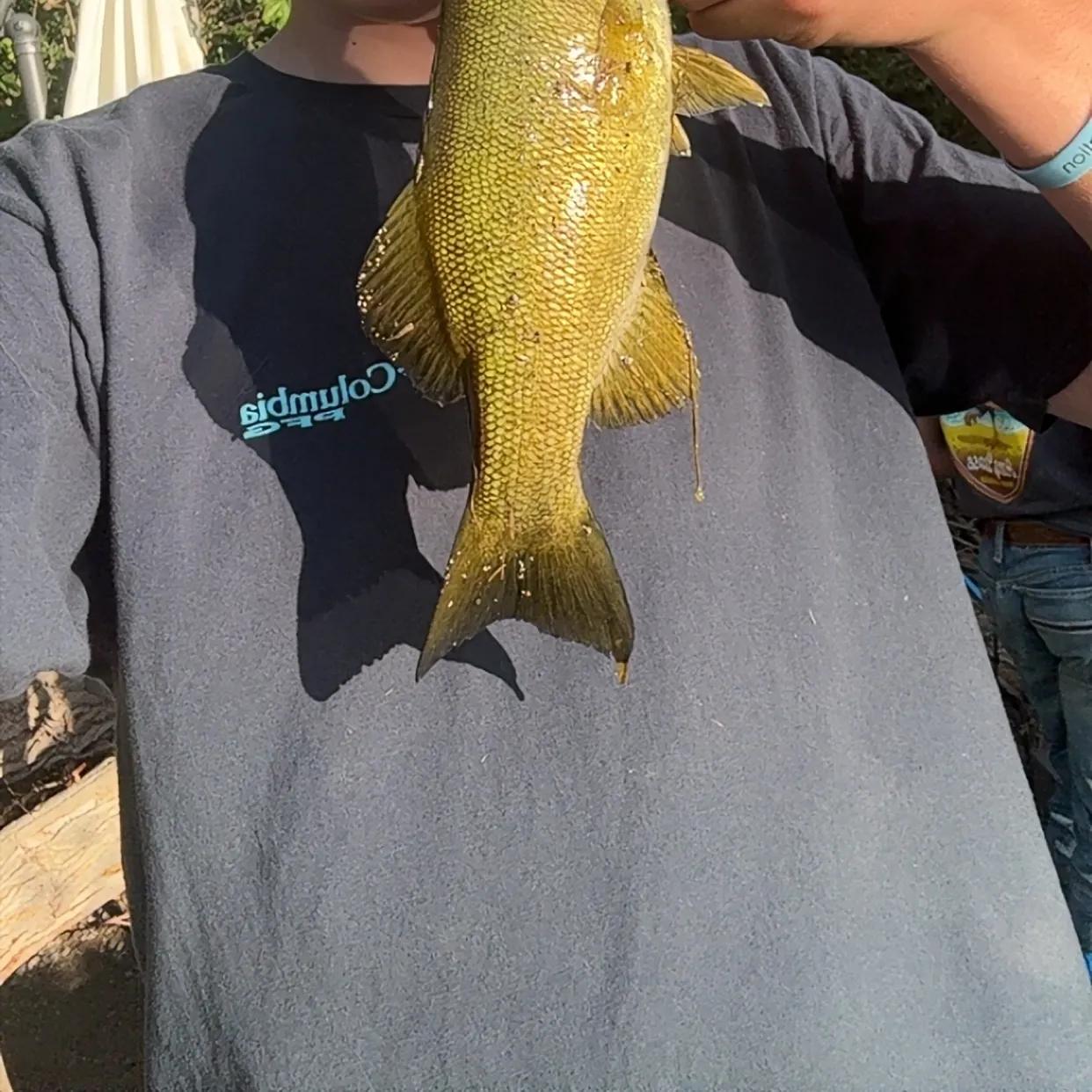 The most recent Smallmouth bass catches on Fishbrain