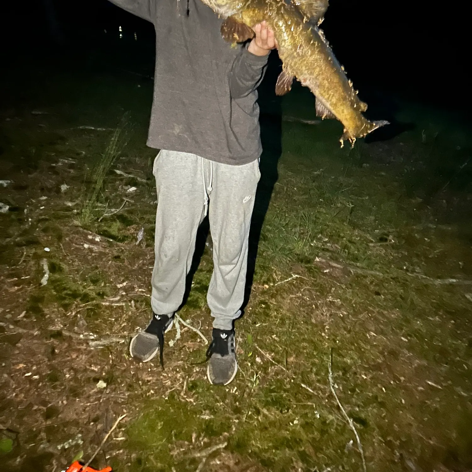 most liked catch image
