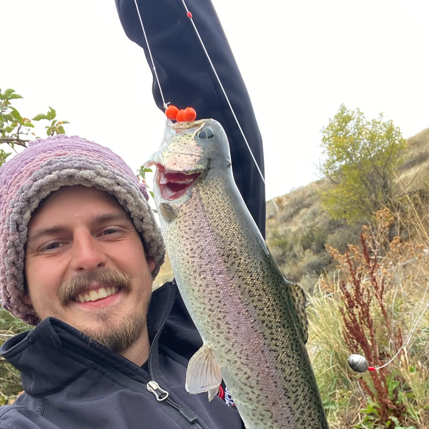 Cutbow caught on Fishbrain
