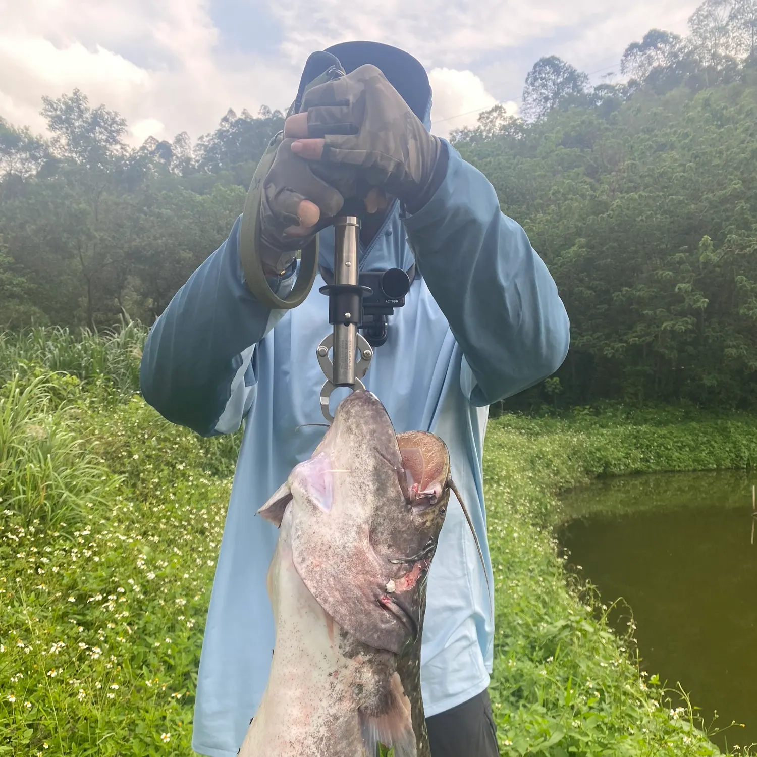 Fish caught on Fishbrain