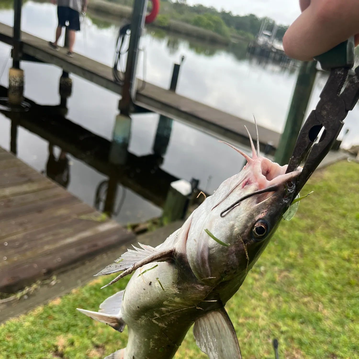 catch