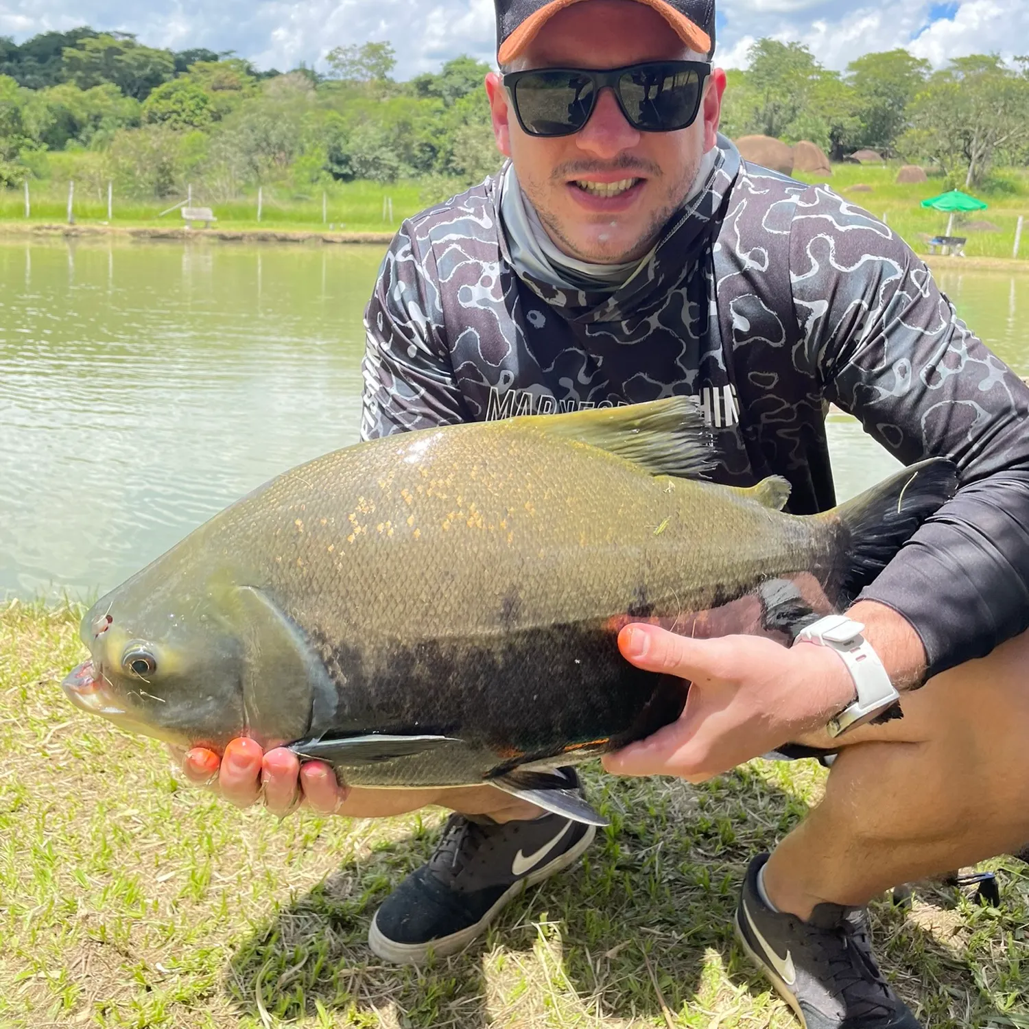 Black pacu caught on Fishbrain