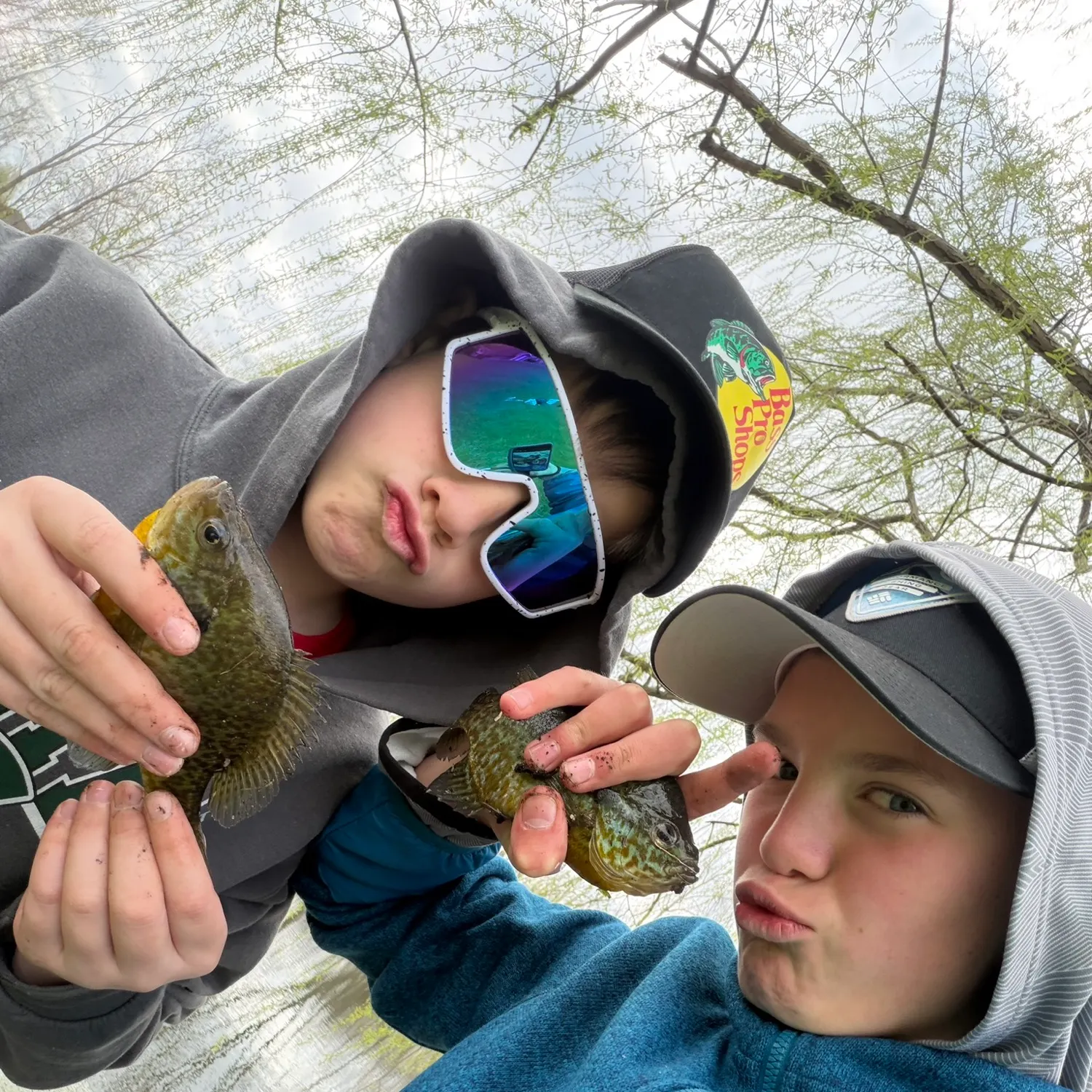 Pumpkinseed caught on Fishbrain