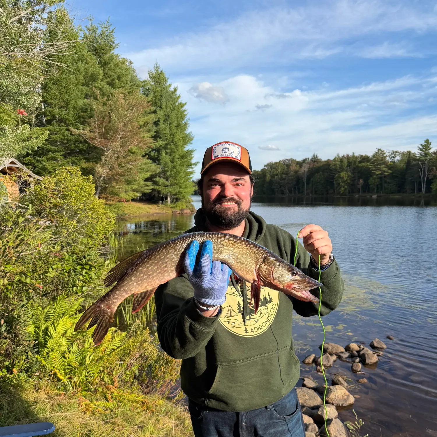 Northern pike caught on Fishbrain