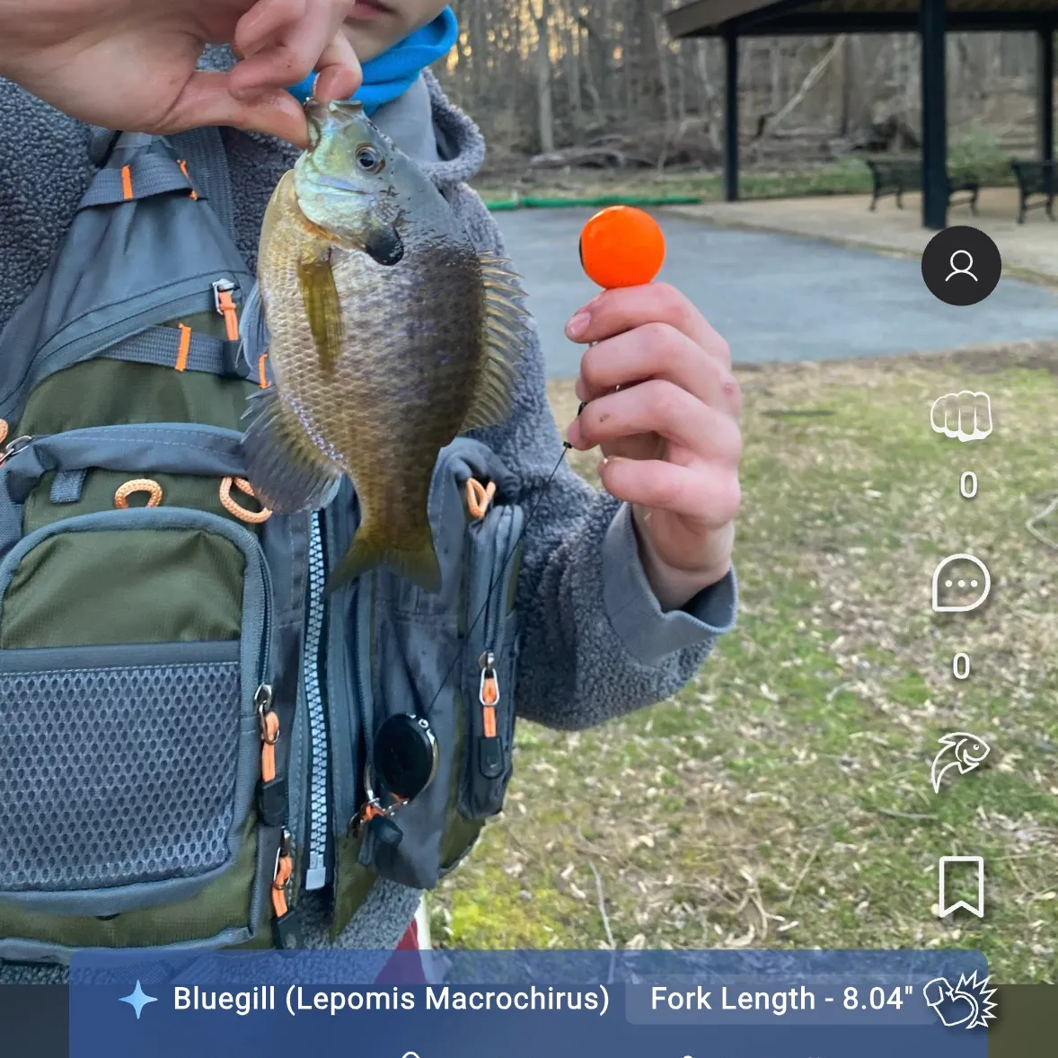 recently logged catches