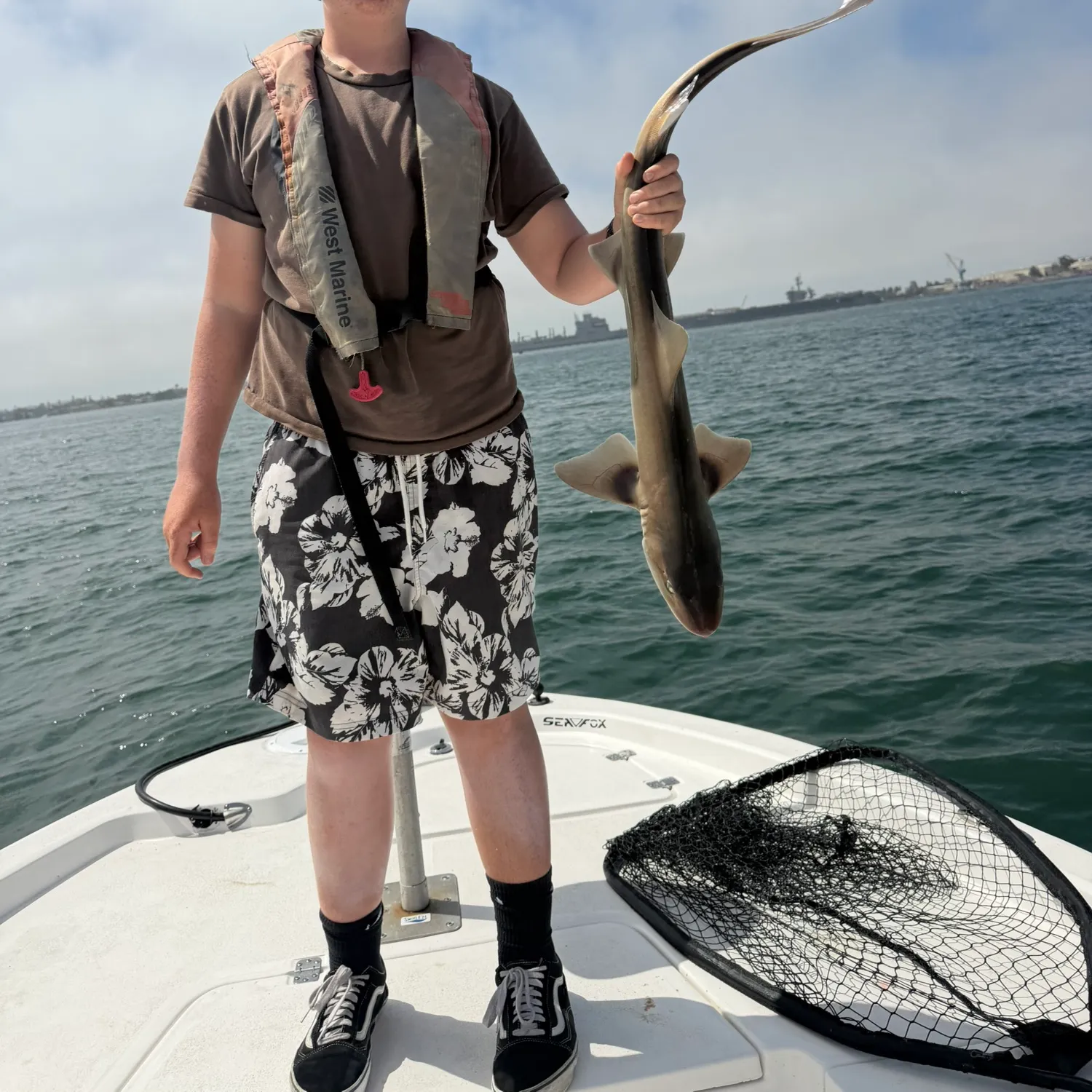 Dusky smooth-hound caught on Fishbrain