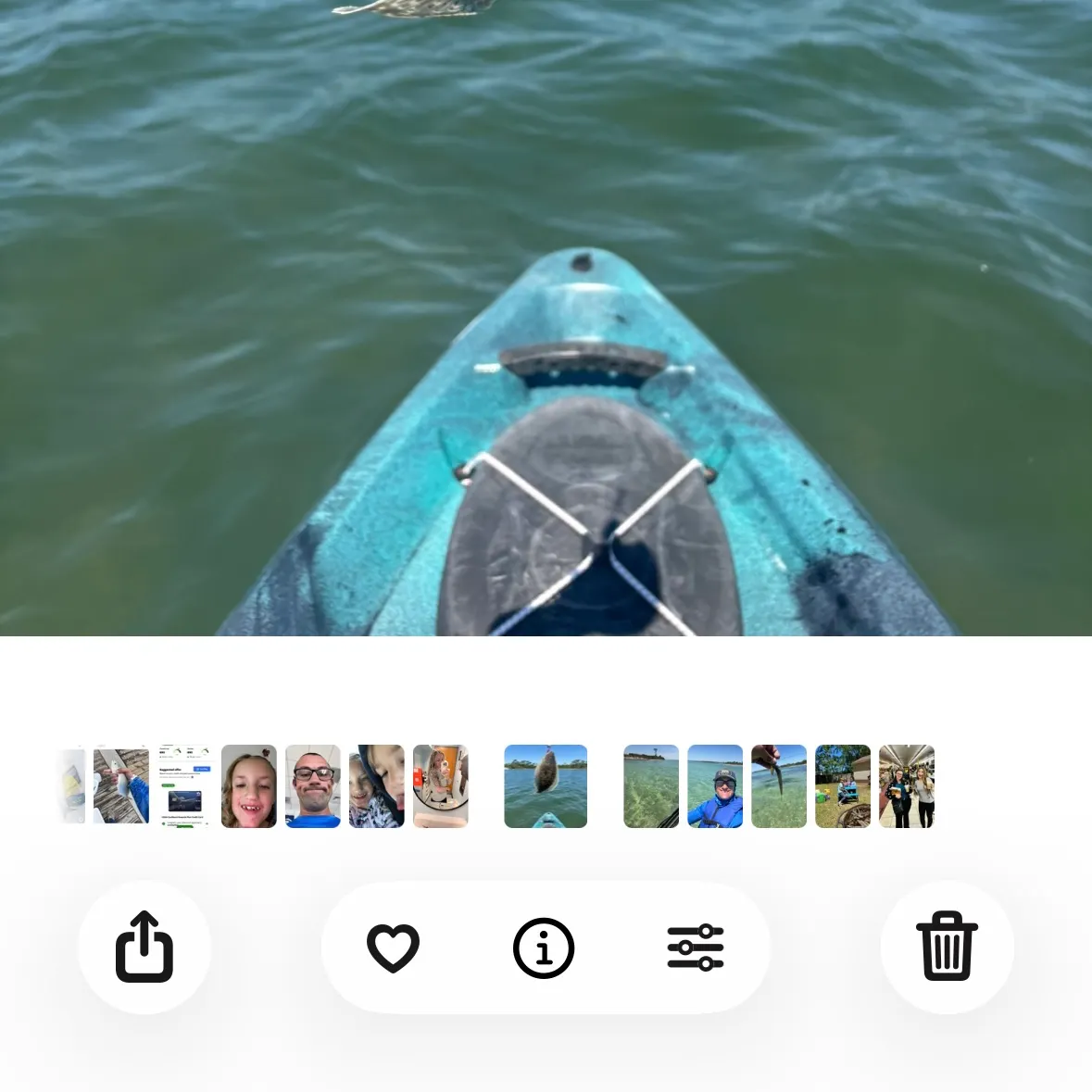 recently logged catches