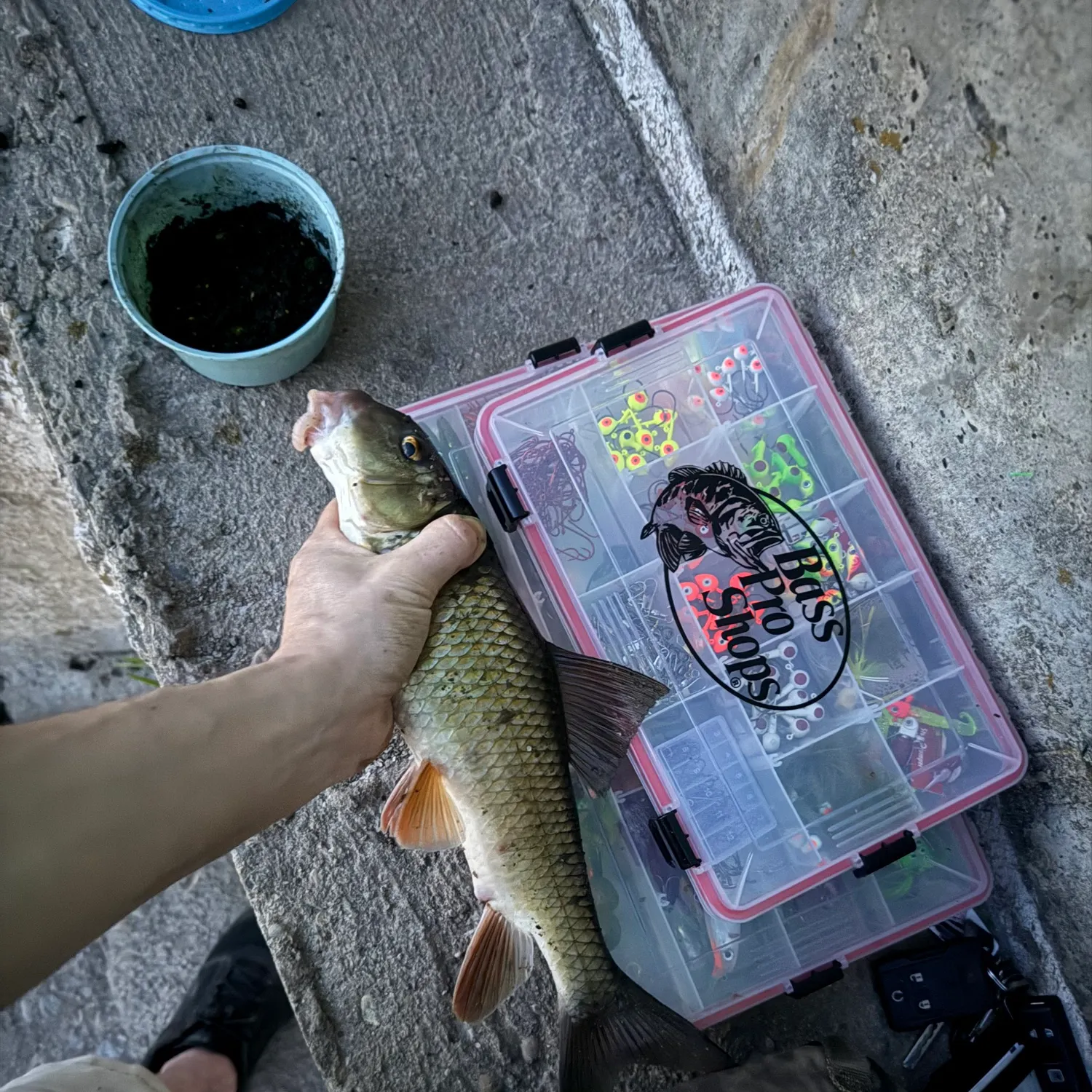 catch