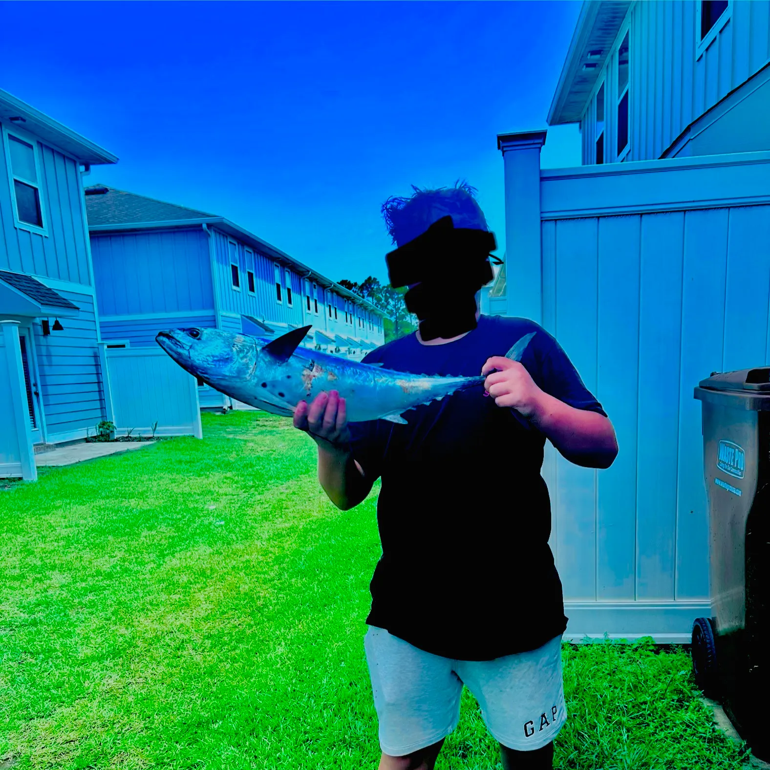 The most recent Plain bonito catches on Fishbrain